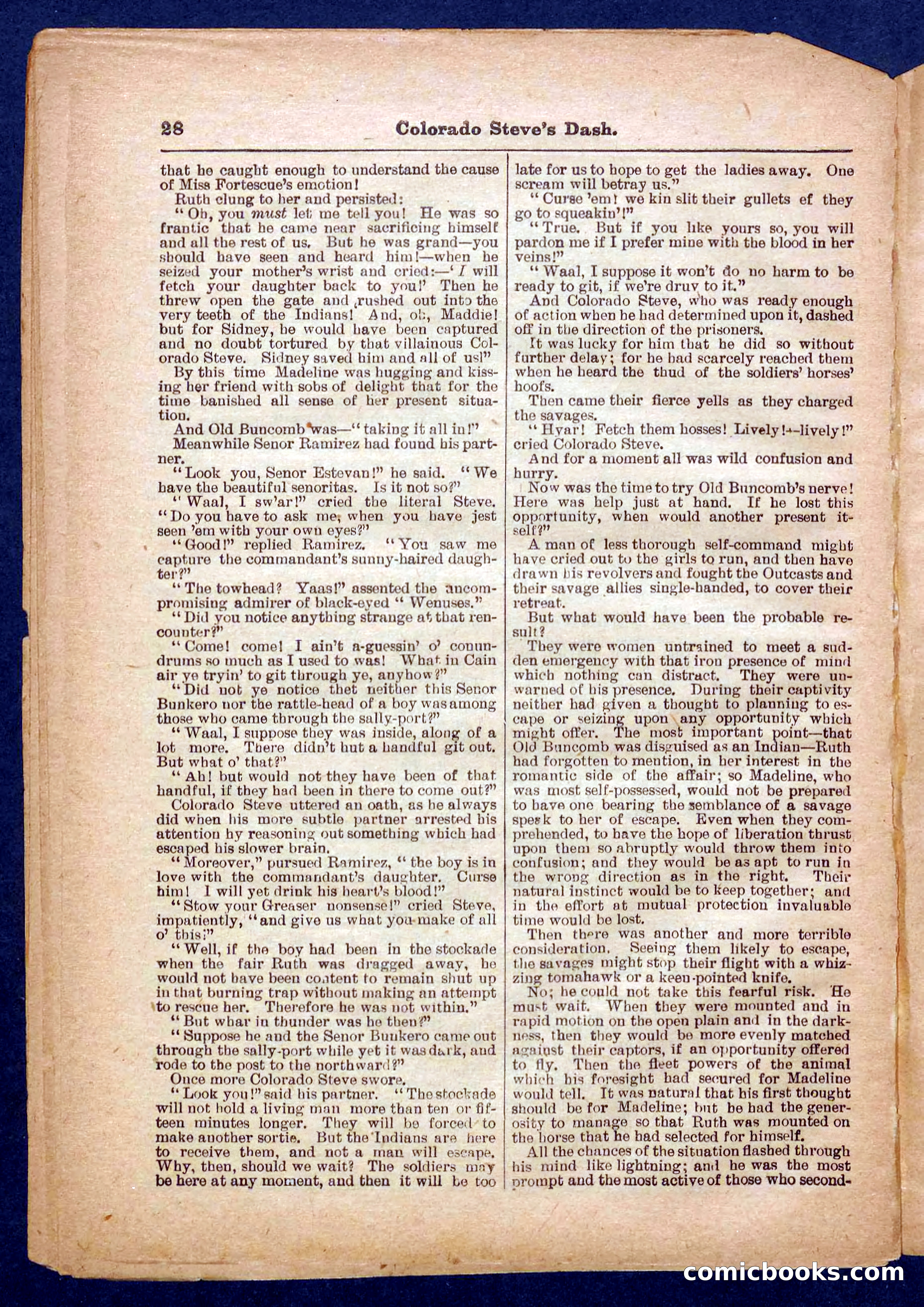 Beadle's Pocket Library No. 341 — page 28 of 32