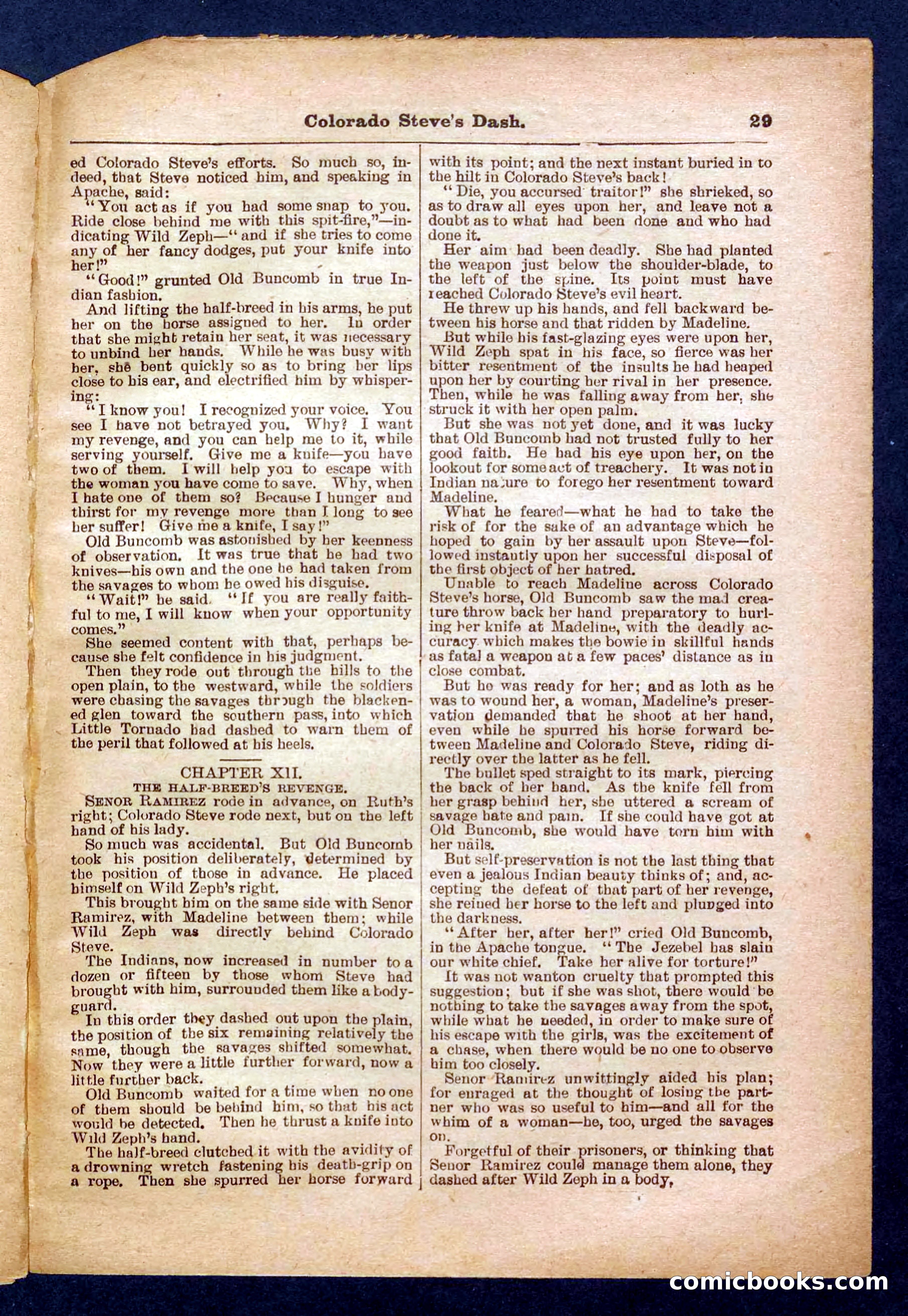Beadle's Pocket Library No. 341 — page 29 of 32