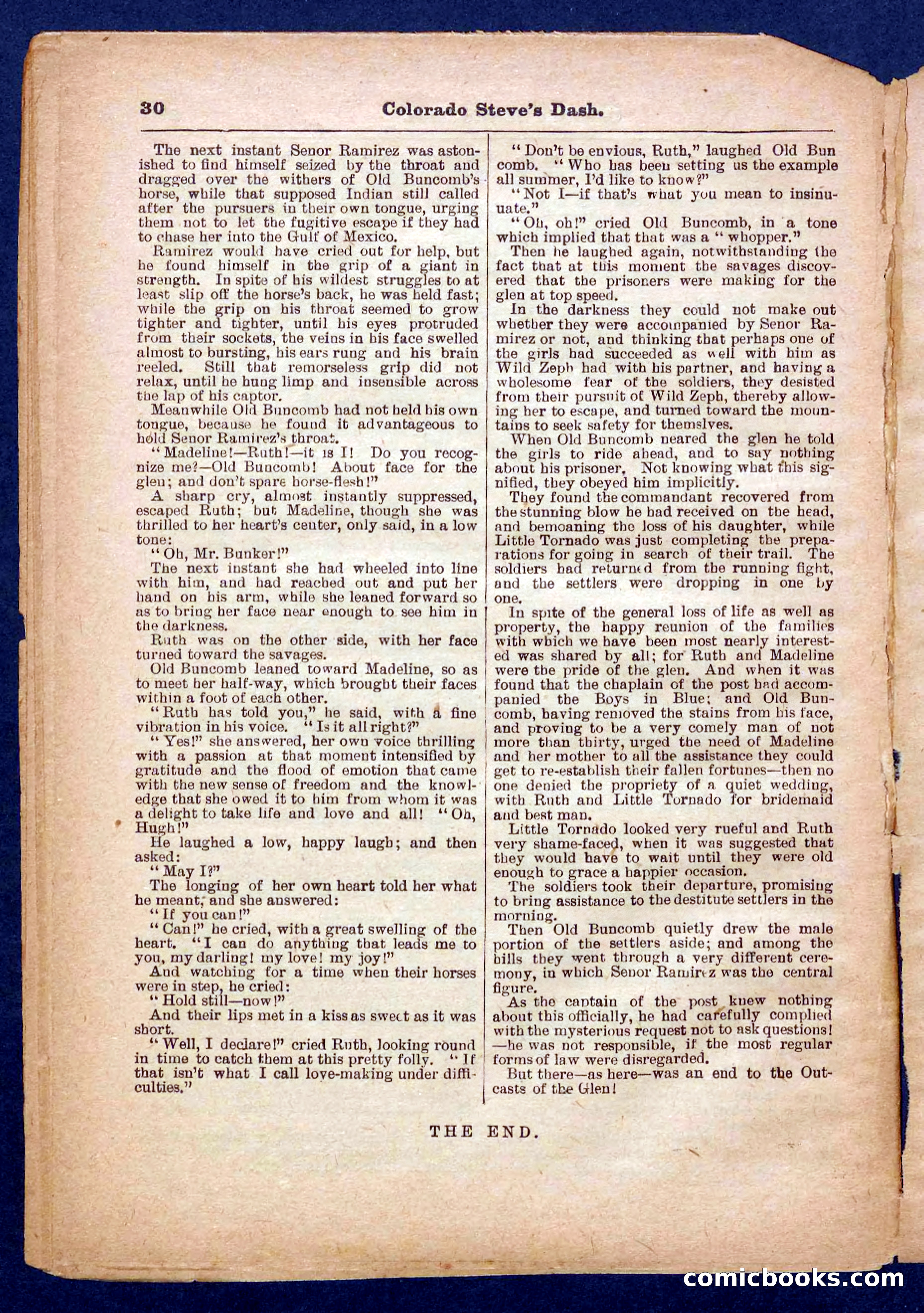 Beadle's Pocket Library No. 341 — page 30 of 32