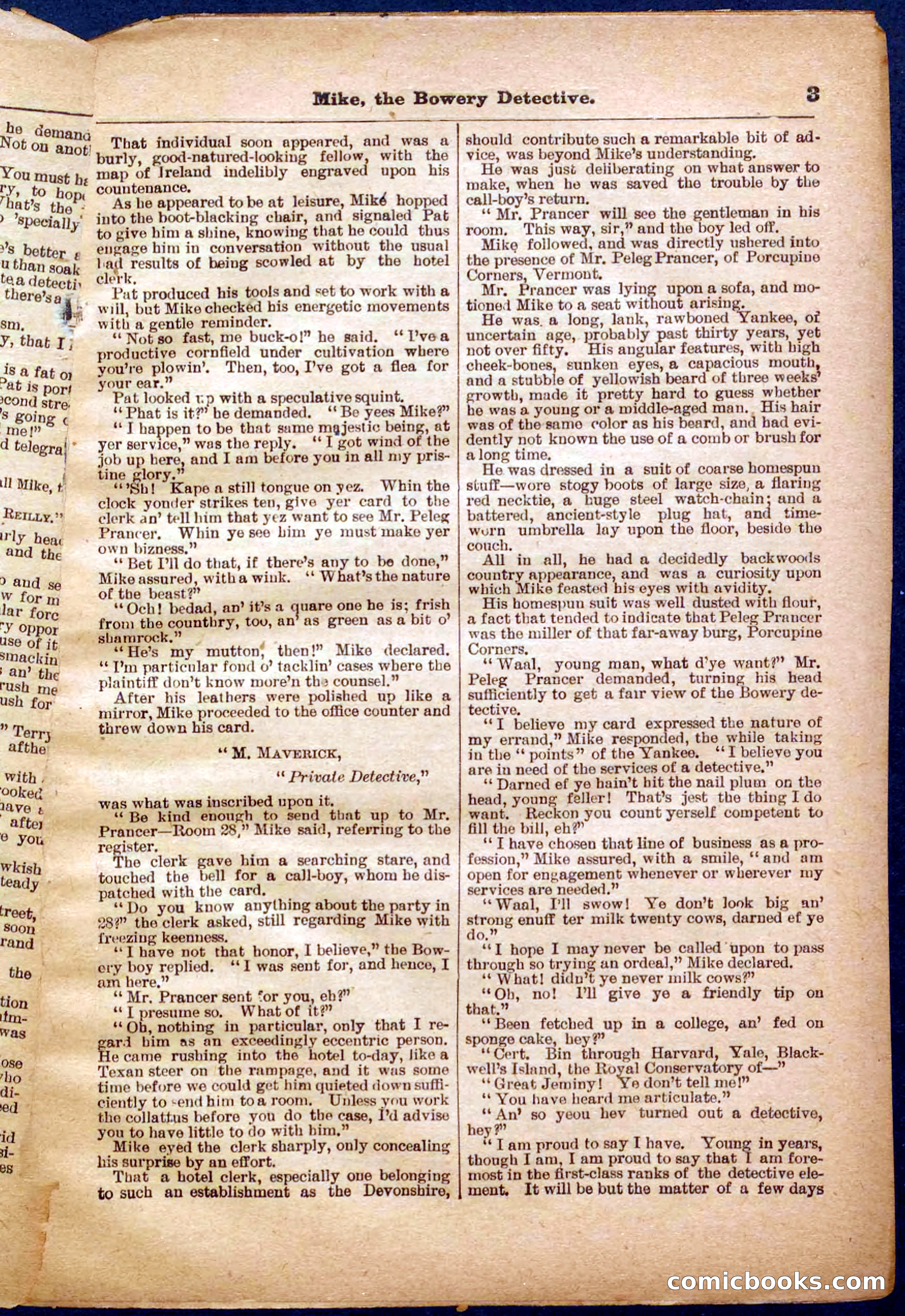 Beadle's Pocket Library No. 343 — page 3 of 32