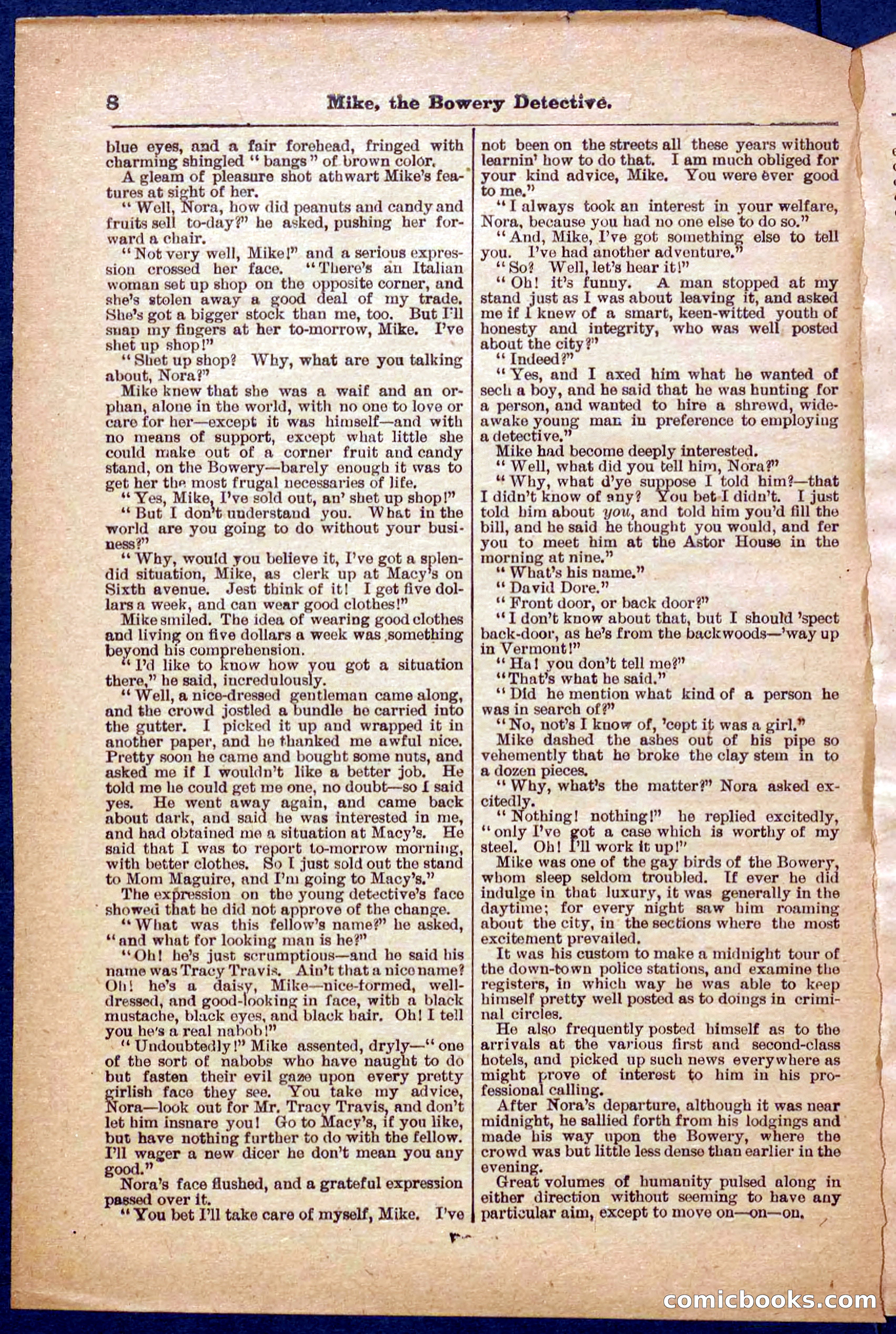 Beadle's Pocket Library No. 343 — page 8 of 32