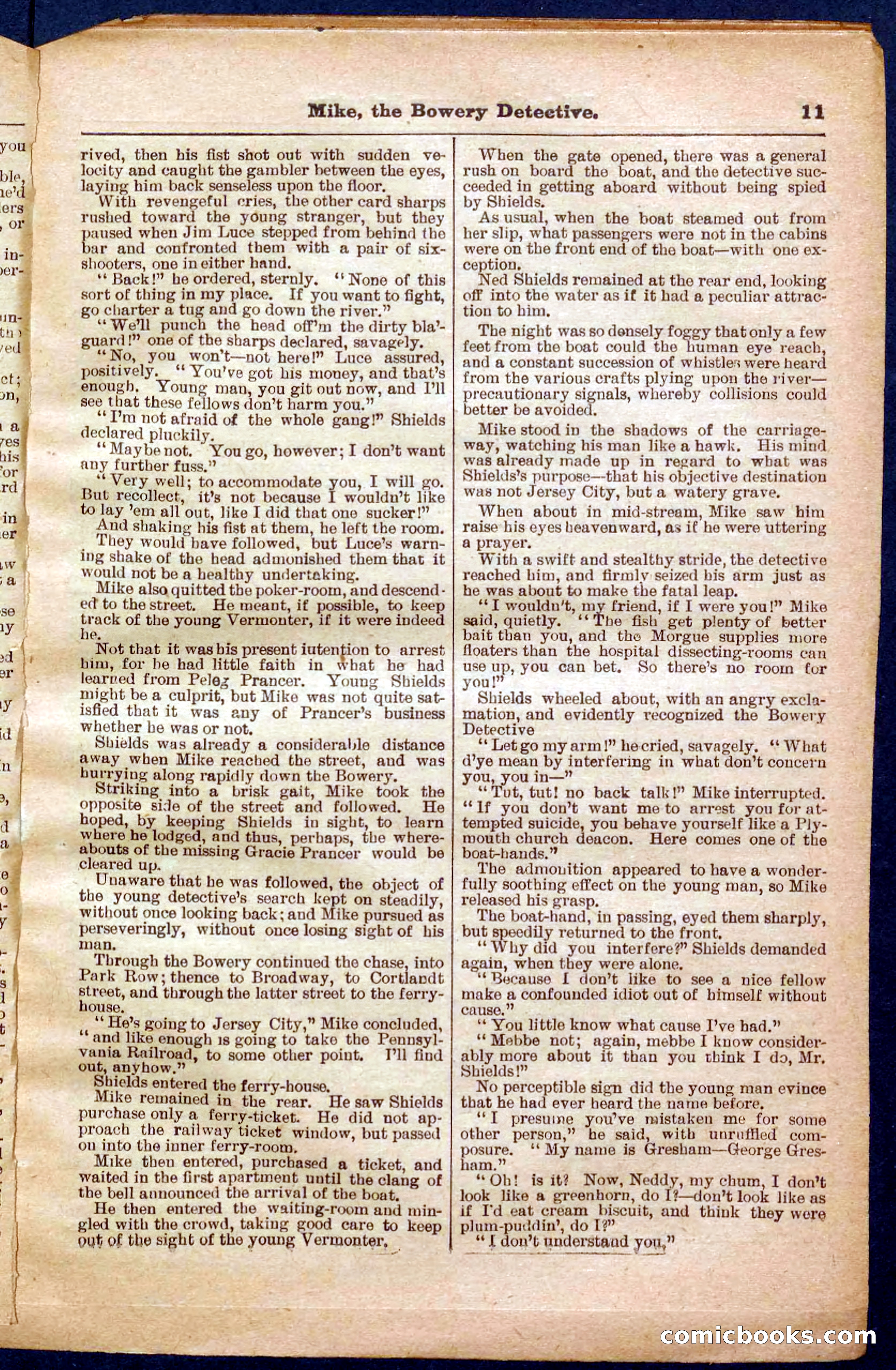 Beadle's Pocket Library No. 343 — page 11 of 32