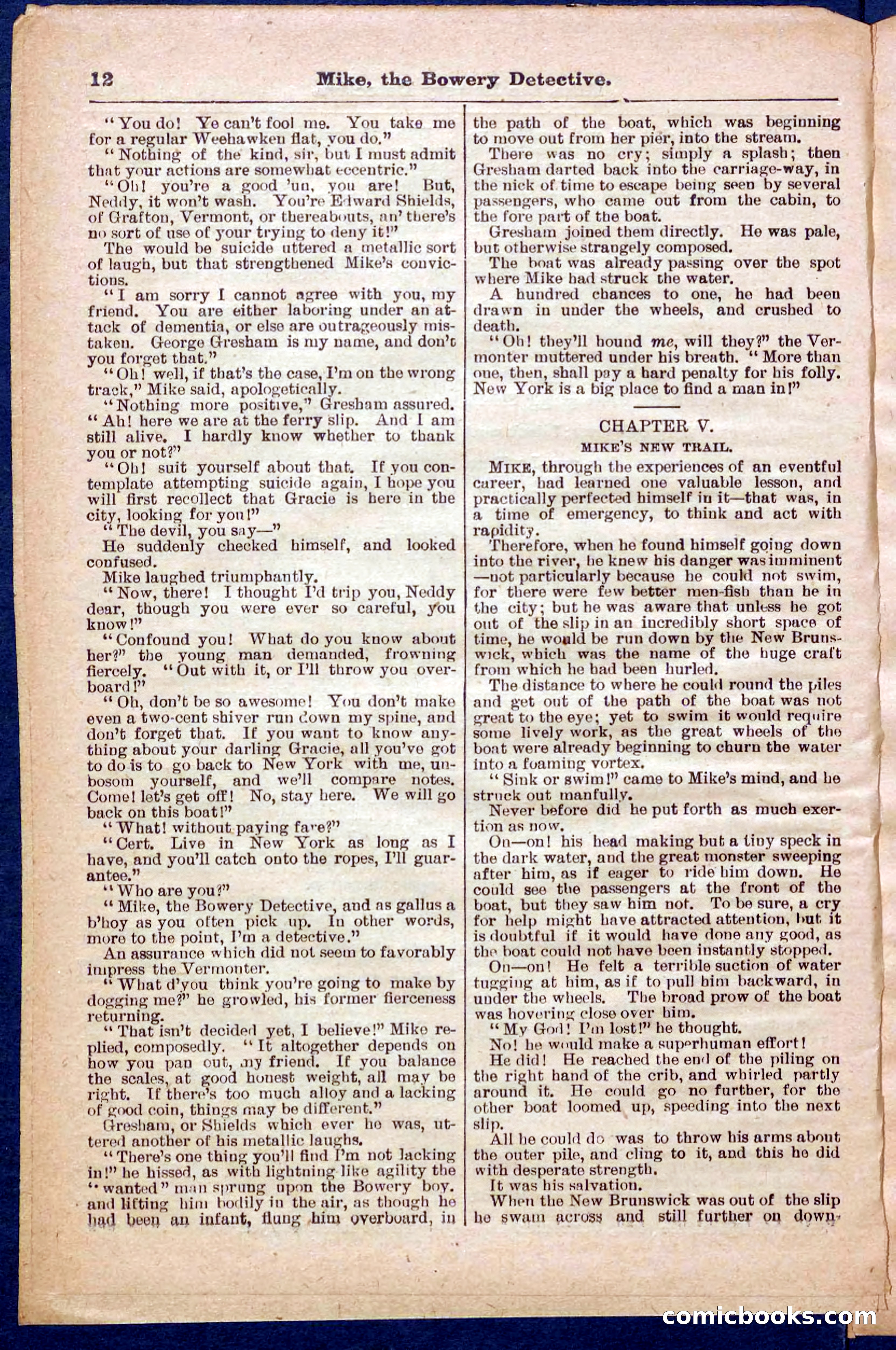 Beadle's Pocket Library No. 343 — page 12 of 32