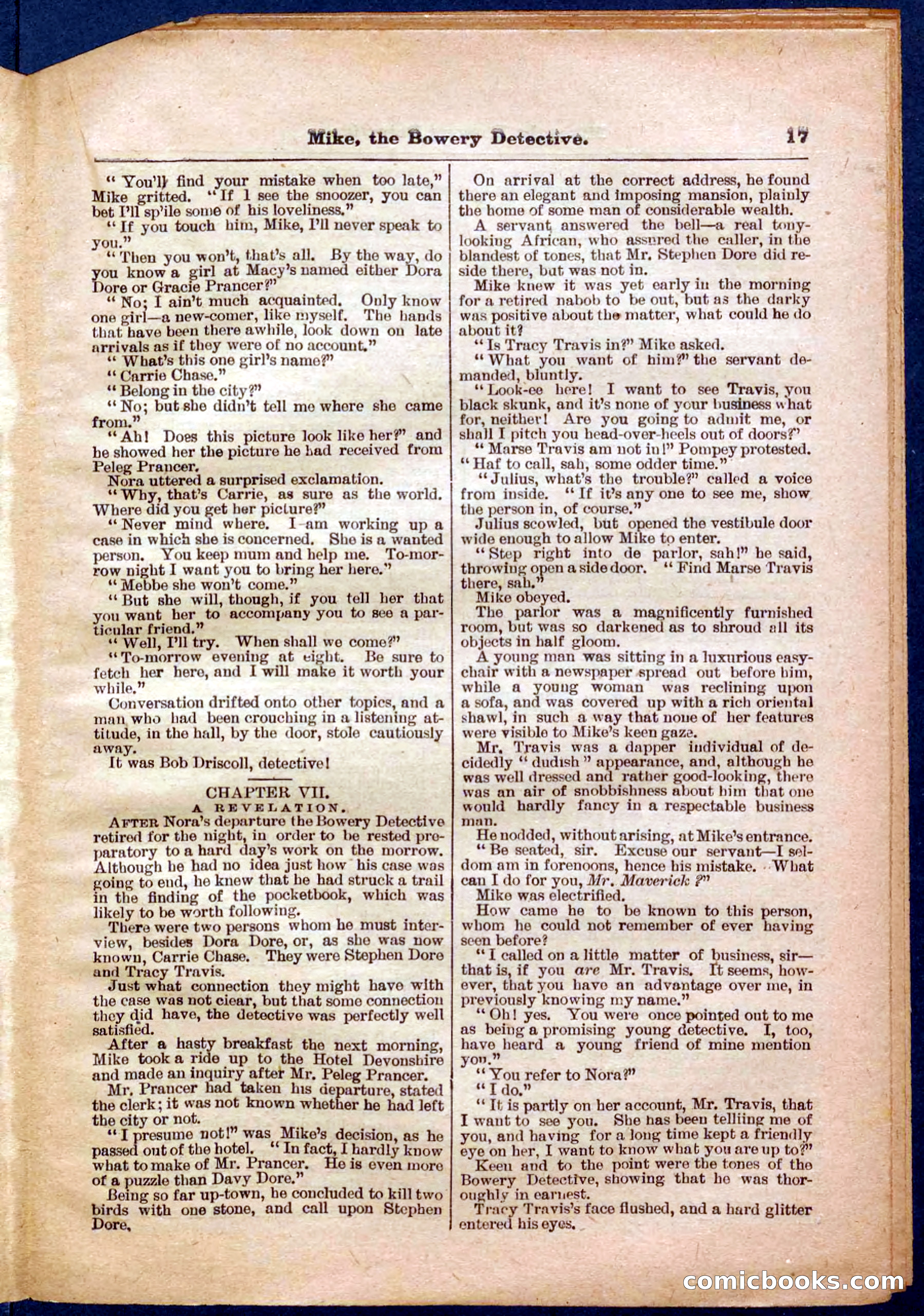 Beadle's Pocket Library No. 343 — page 17 of 32