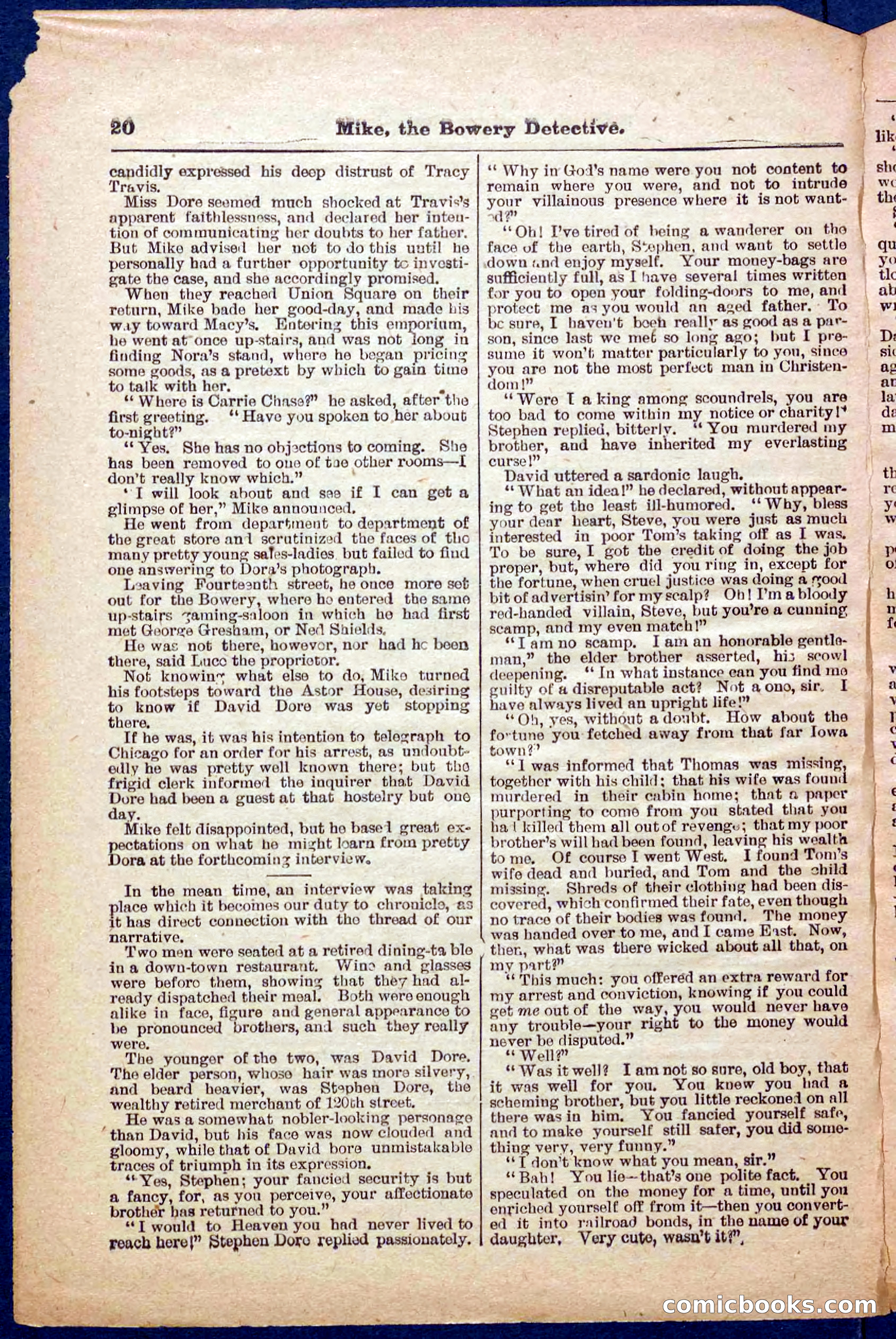 Beadle's Pocket Library No. 343 — page 20 of 32