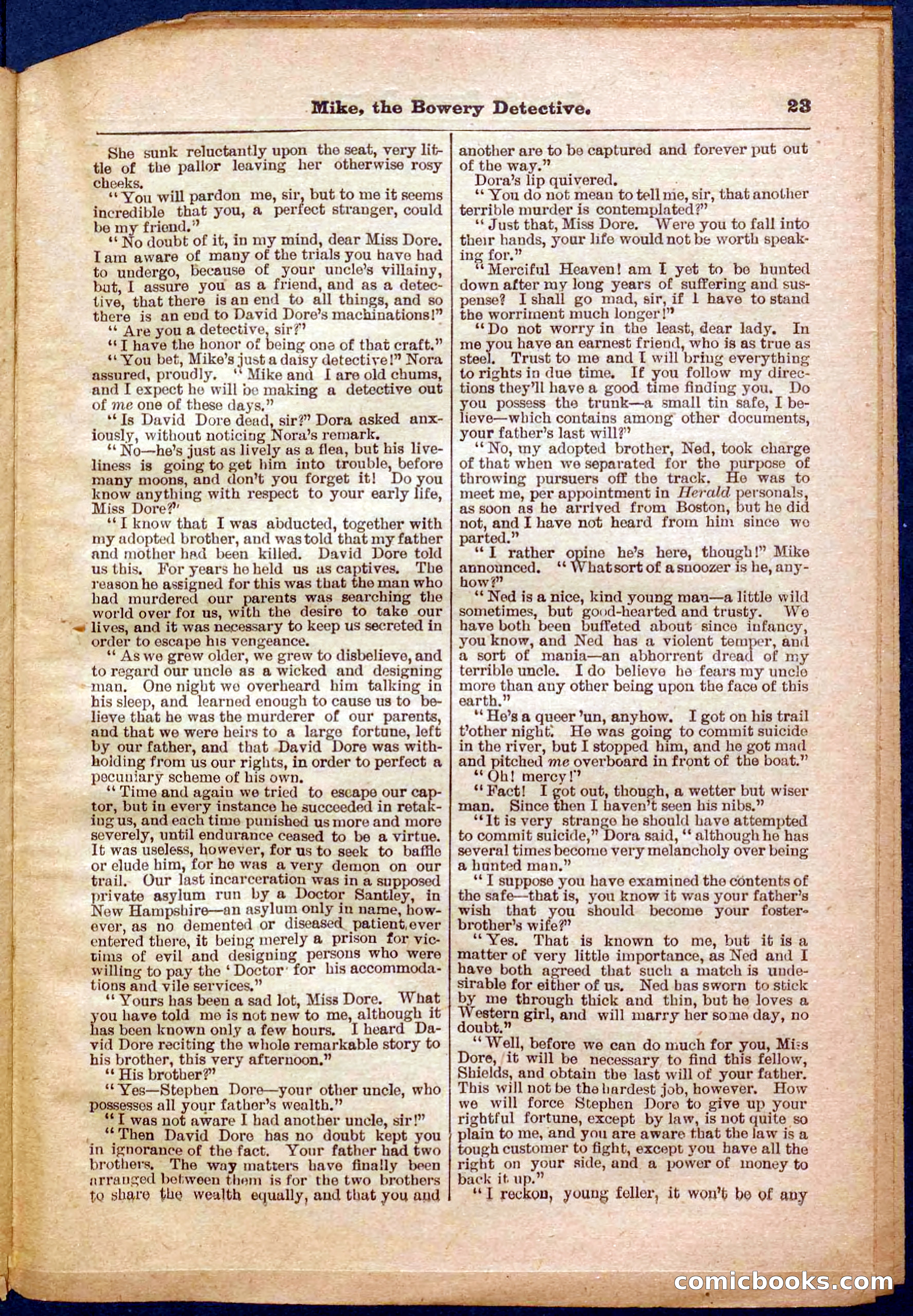 Beadle's Pocket Library No. 343 — page 23 of 32