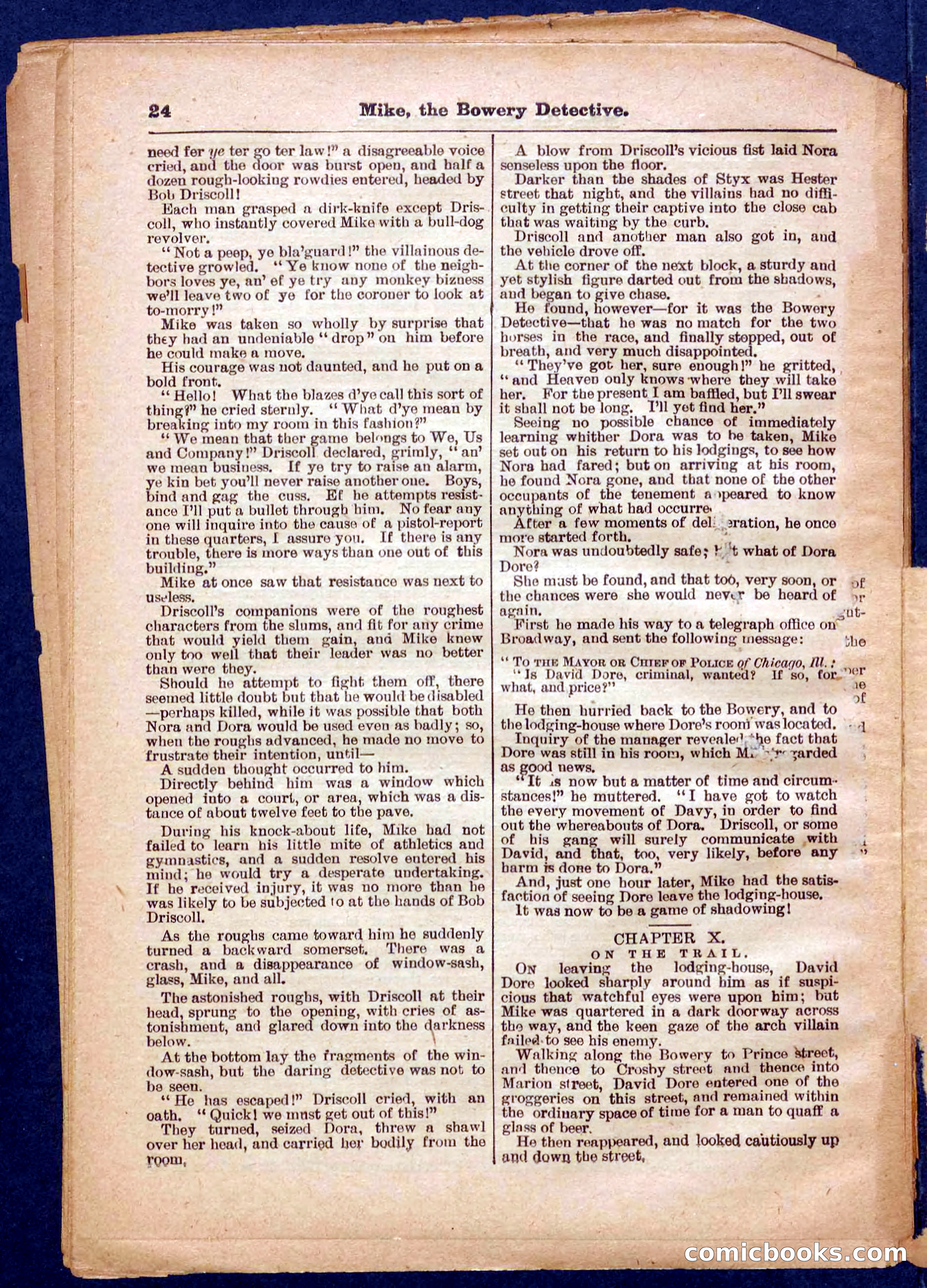 Beadle's Pocket Library No. 343 — page 24 of 32