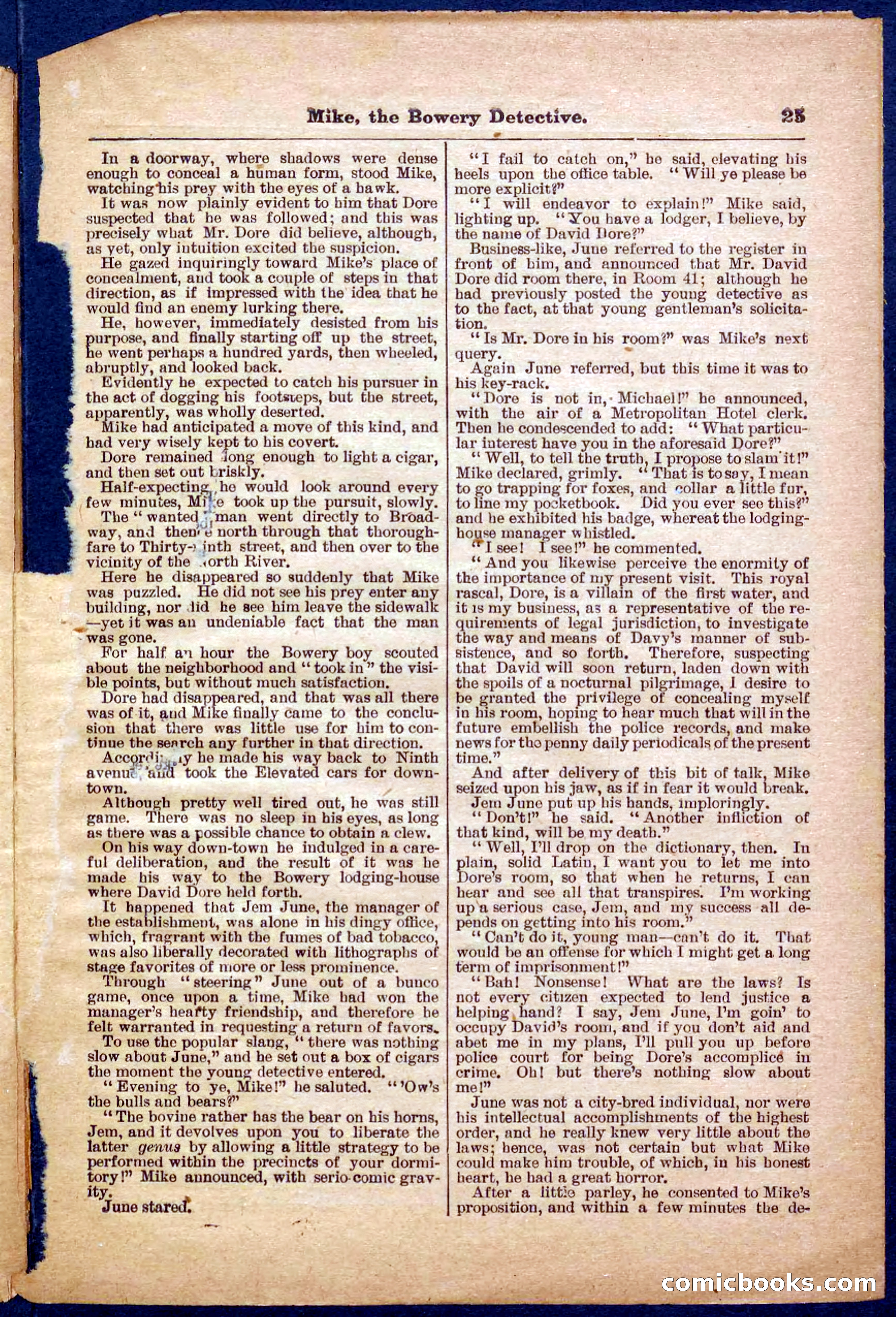 Beadle's Pocket Library No. 343 — page 25 of 32