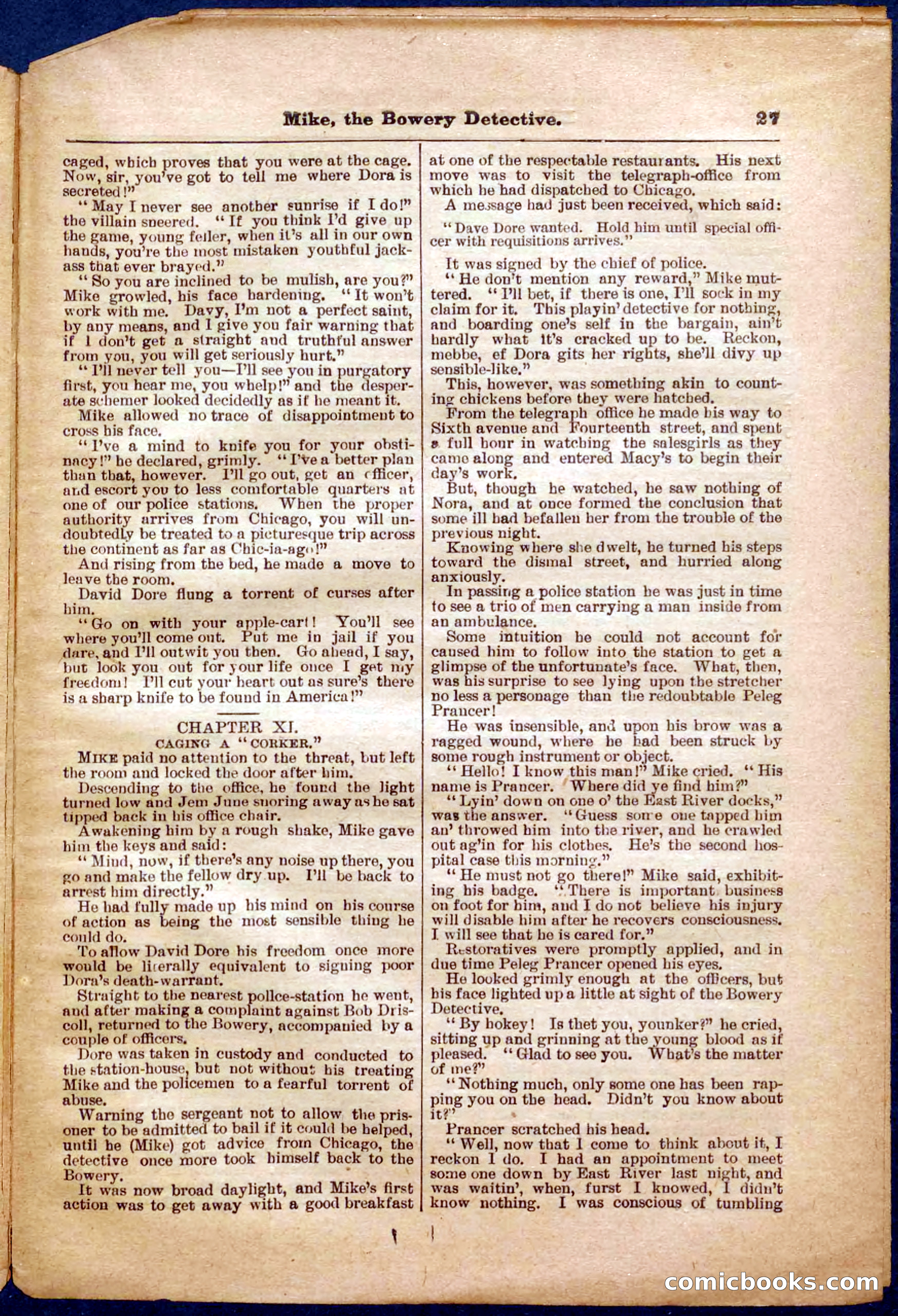 Beadle's Pocket Library No. 343 — page 27 of 32