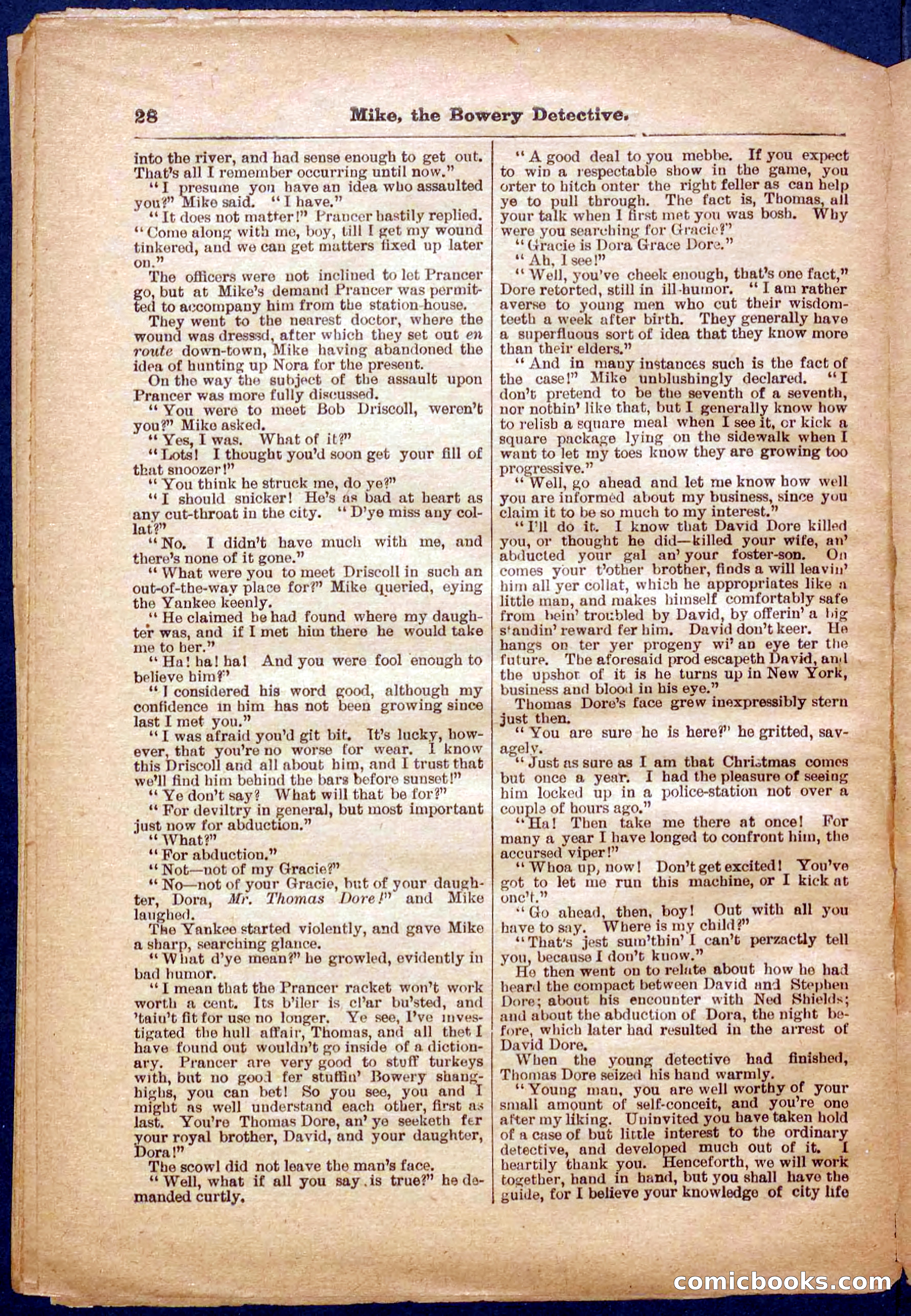 Beadle's Pocket Library No. 343 — page 28 of 32
