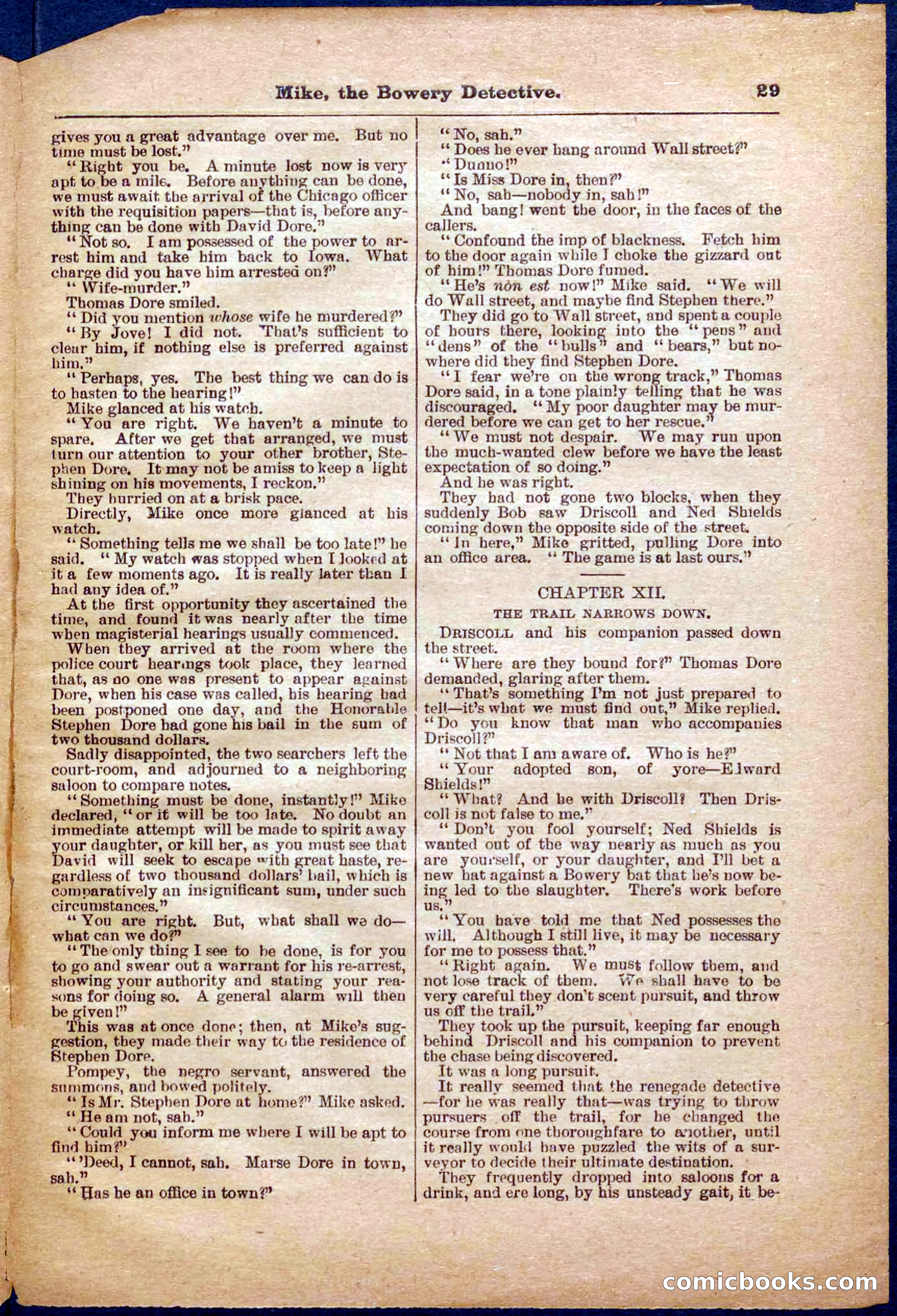 Beadle's Pocket Library No. 343 — page 29 of 32