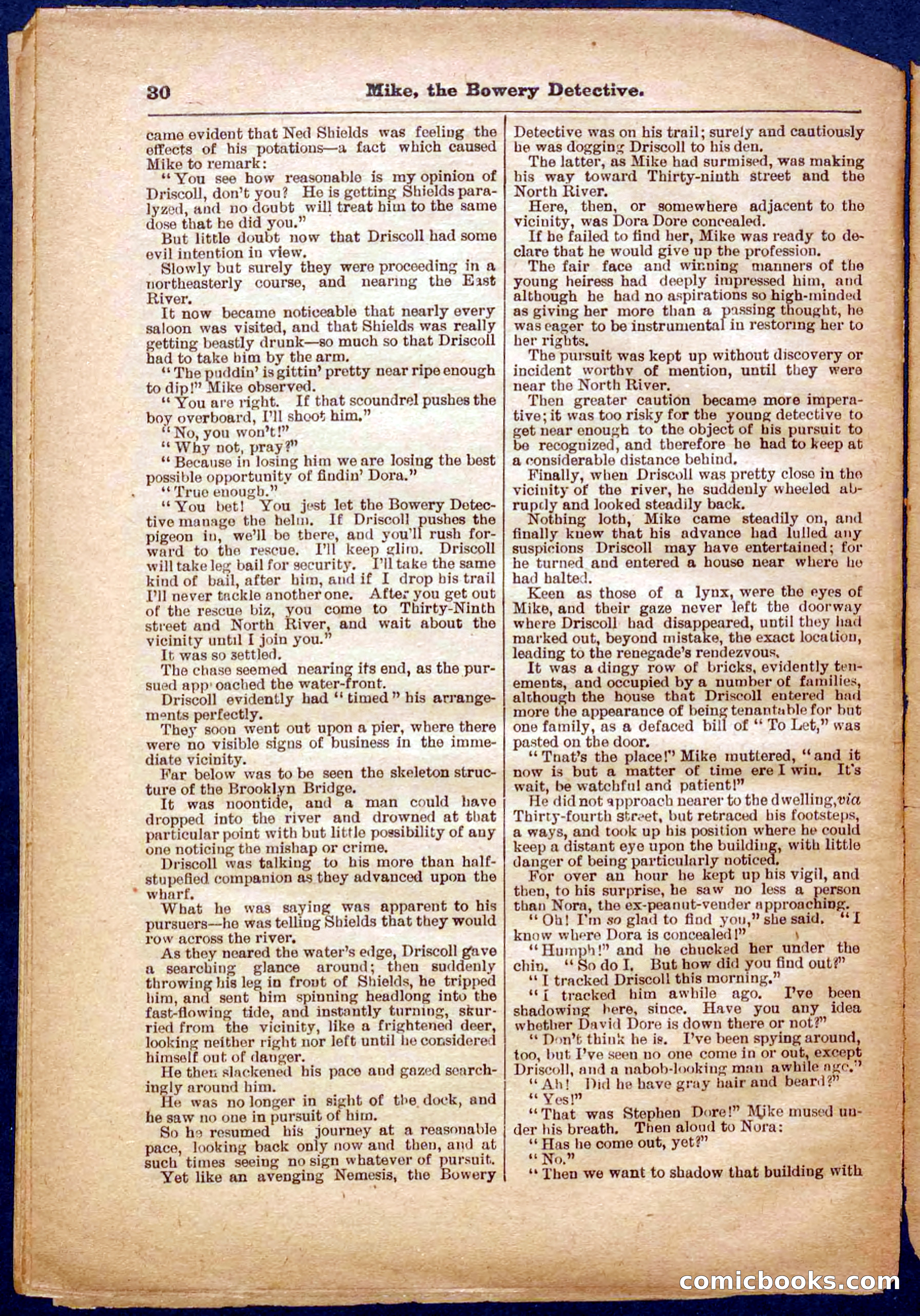 Beadle's Pocket Library No. 343 — page 30 of 32