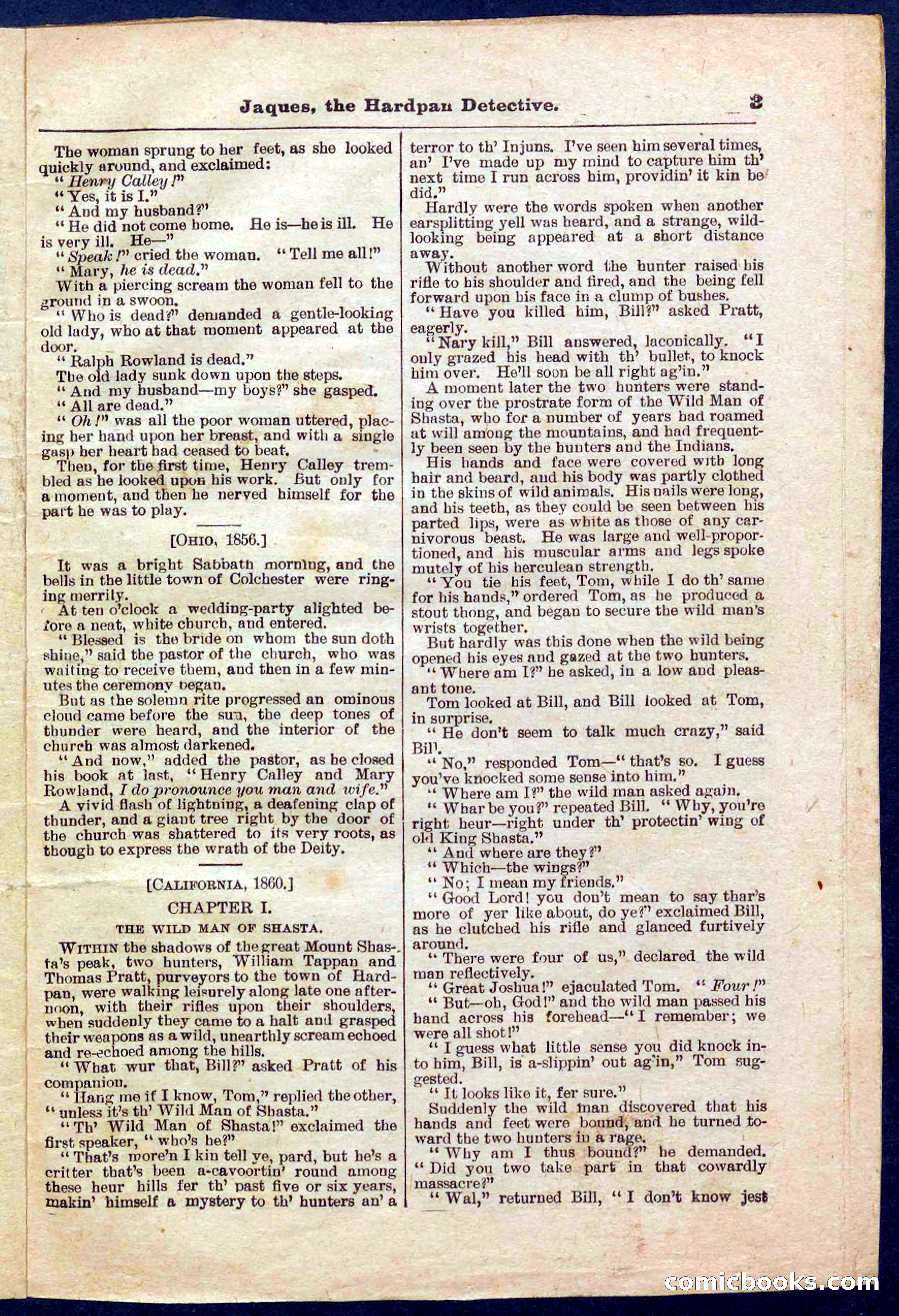 Beadle's Pocket Library No. 345 — page 3 of 32