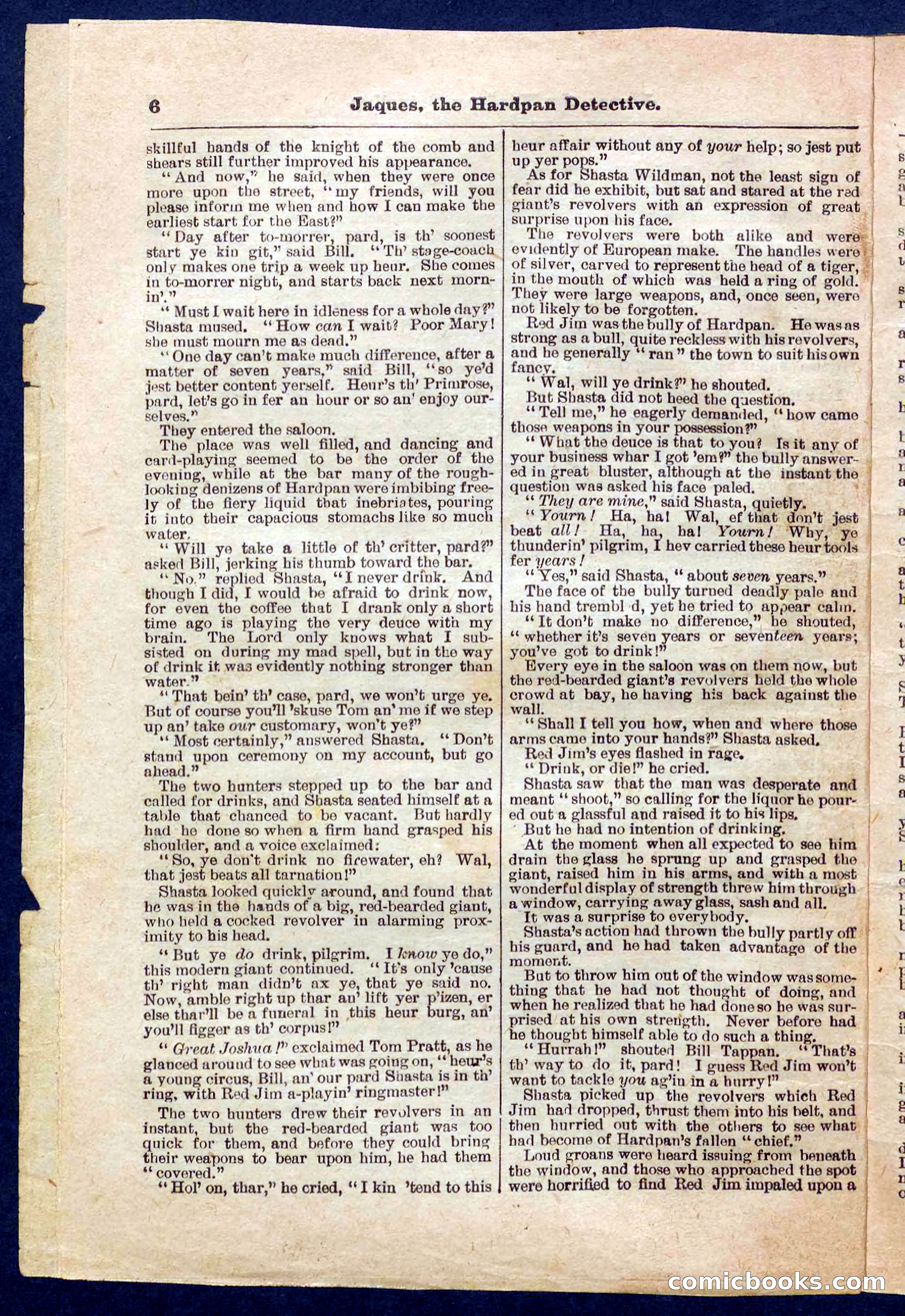 Beadle's Pocket Library No. 345 — page 6 of 32
