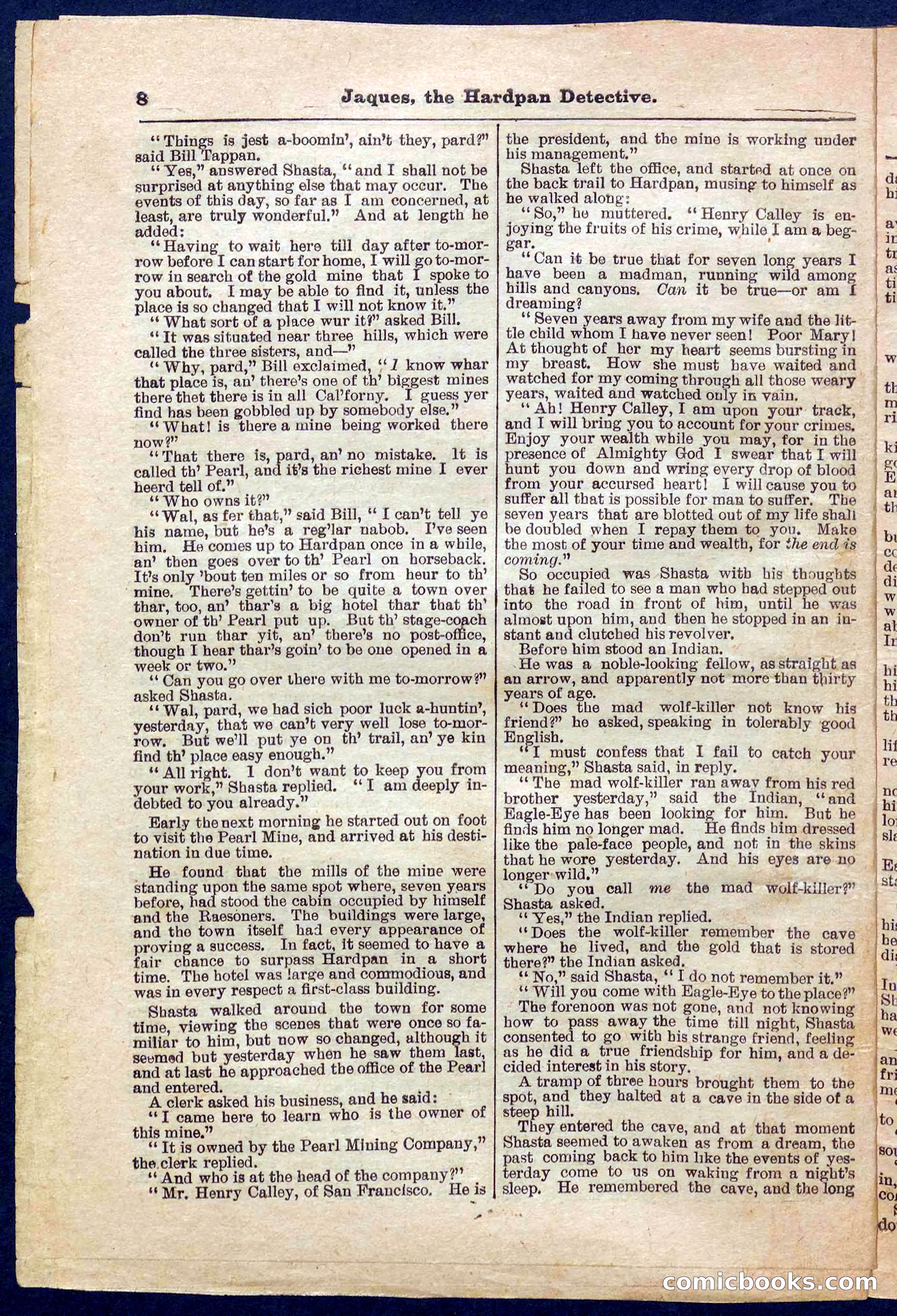 Beadle's Pocket Library No. 345 — page 8 of 32