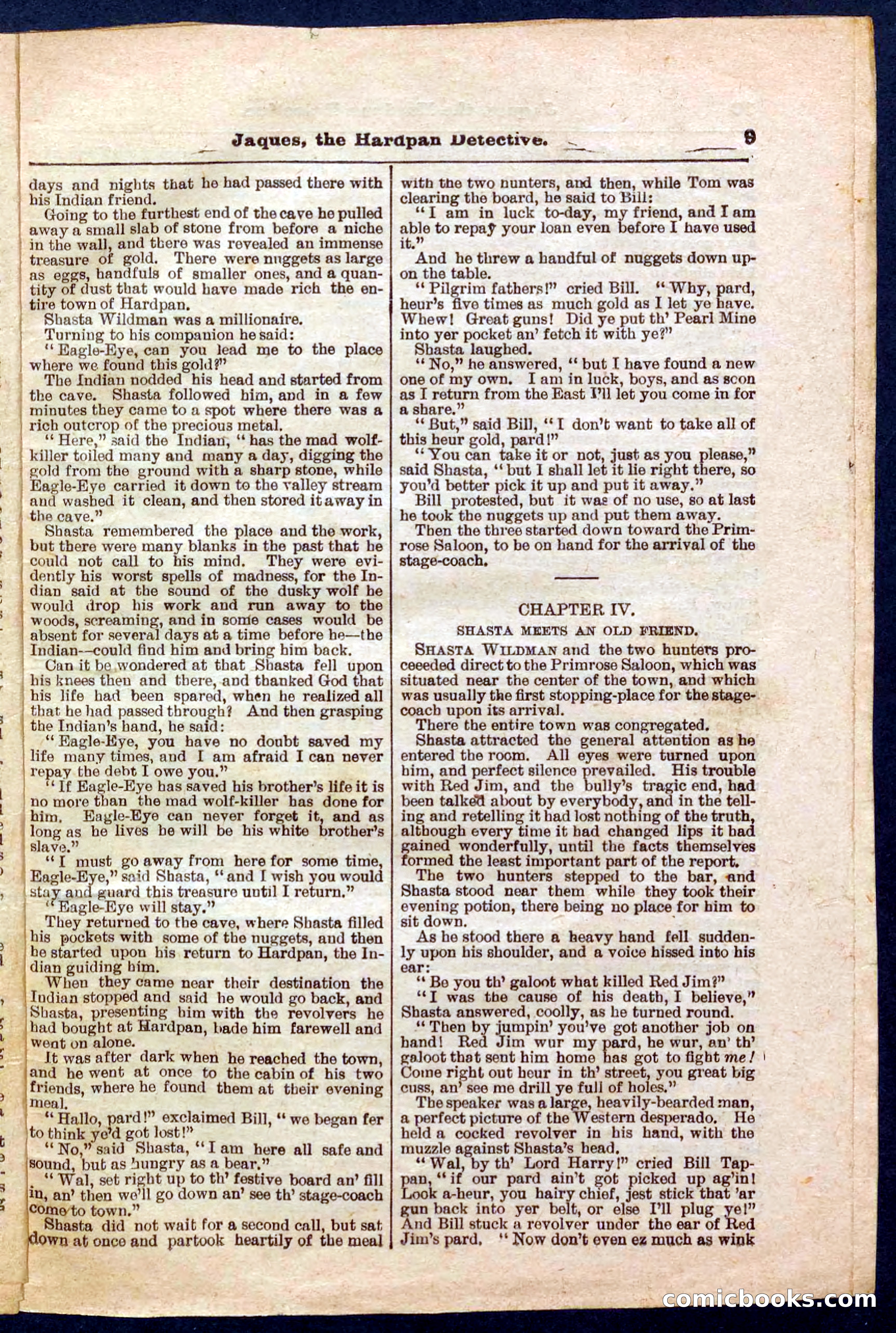 Beadle's Pocket Library No. 345 — page 9 of 32