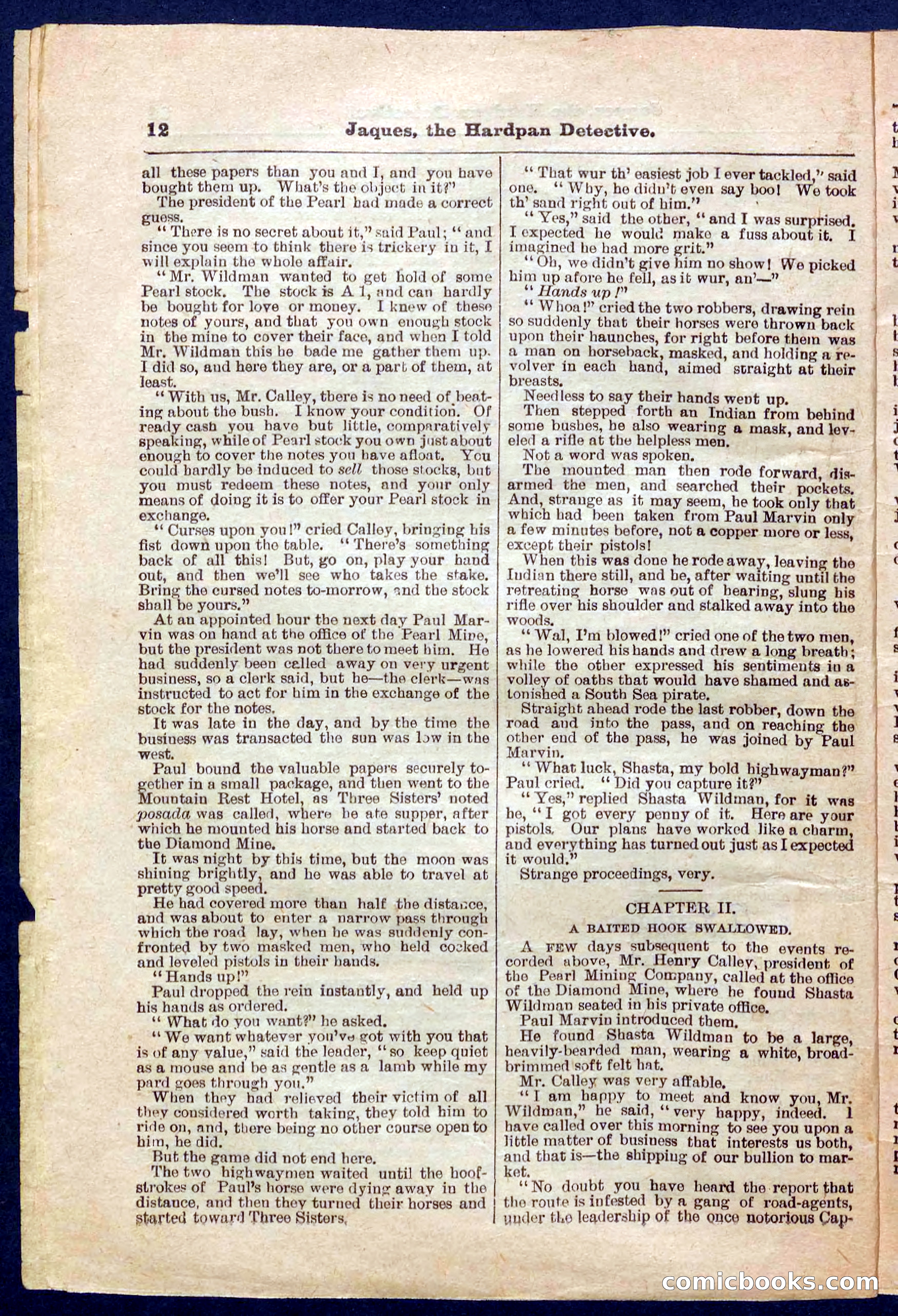 Beadle's Pocket Library No. 345 — page 12 of 32