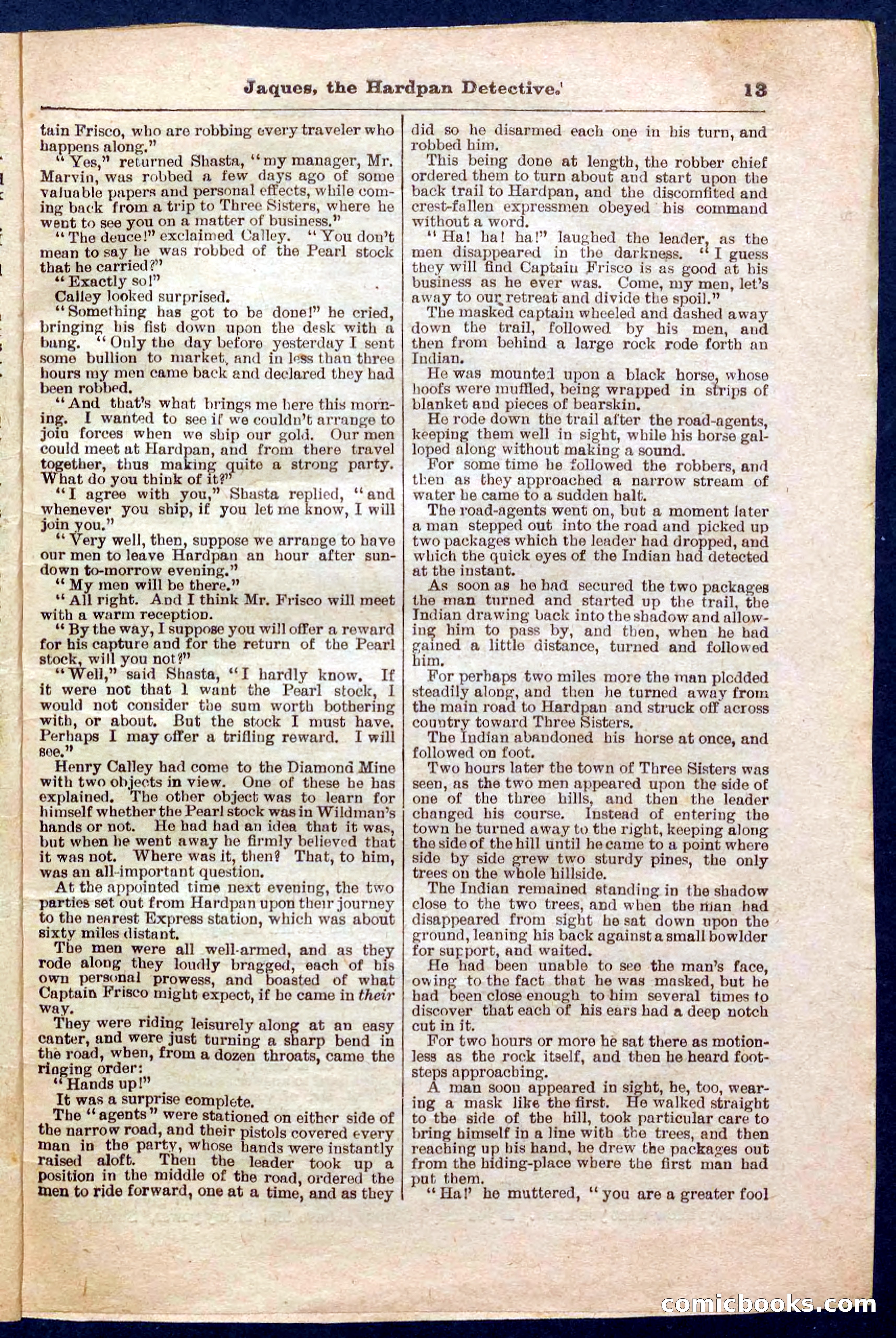 Beadle's Pocket Library No. 345 — page 13 of 32