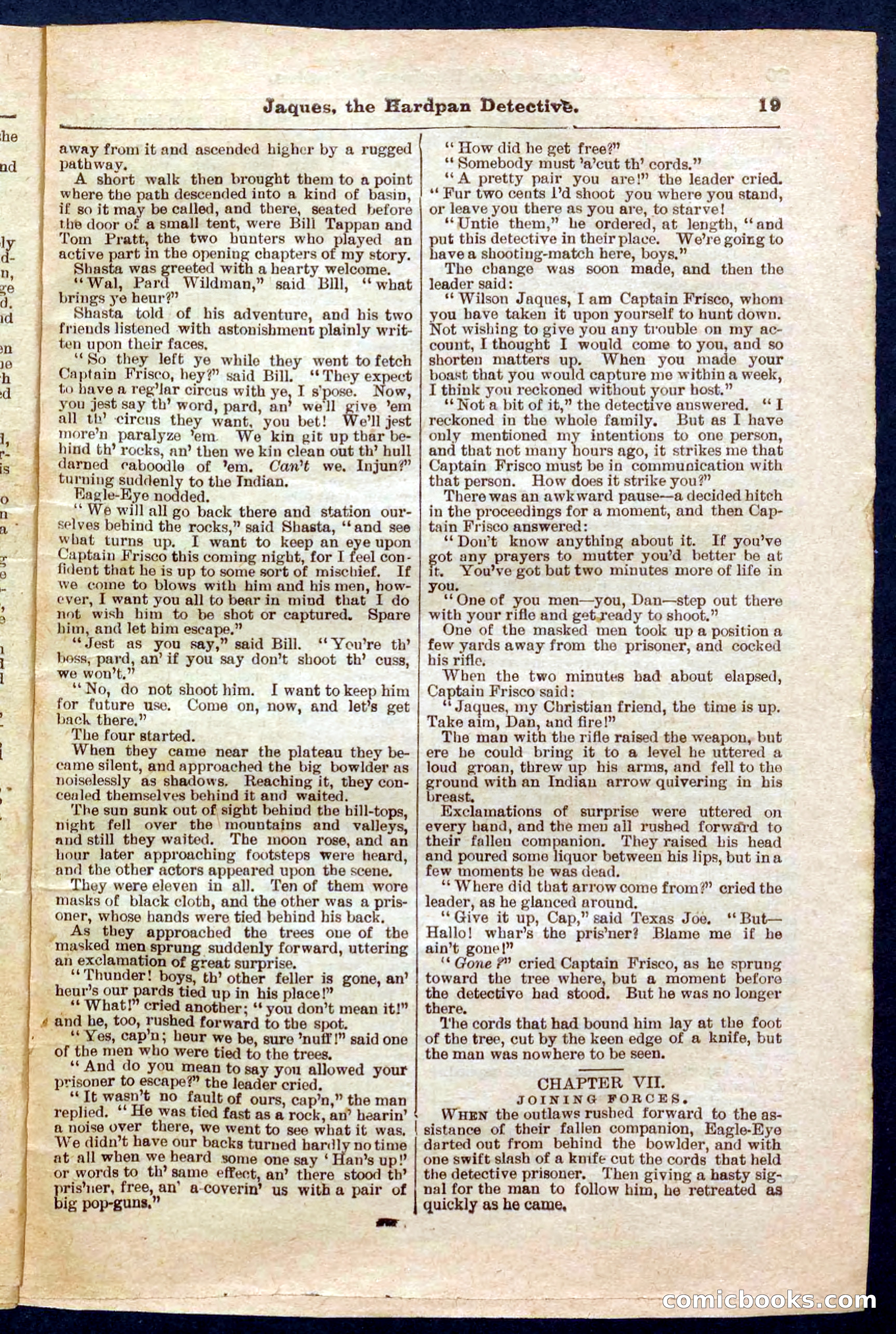 Beadle's Pocket Library No. 345 — page 19 of 32