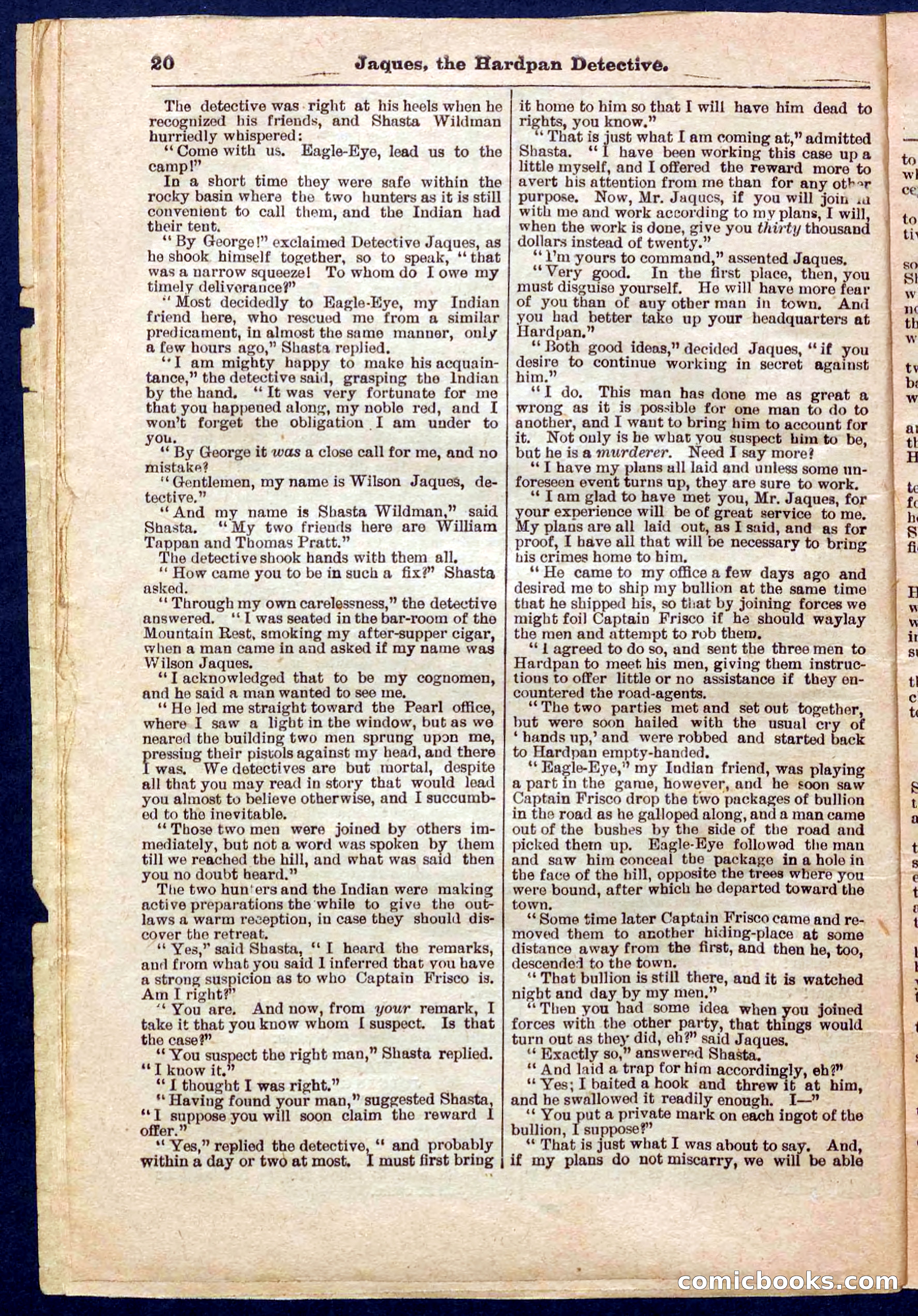 Beadle's Pocket Library No. 345 — page 20 of 32