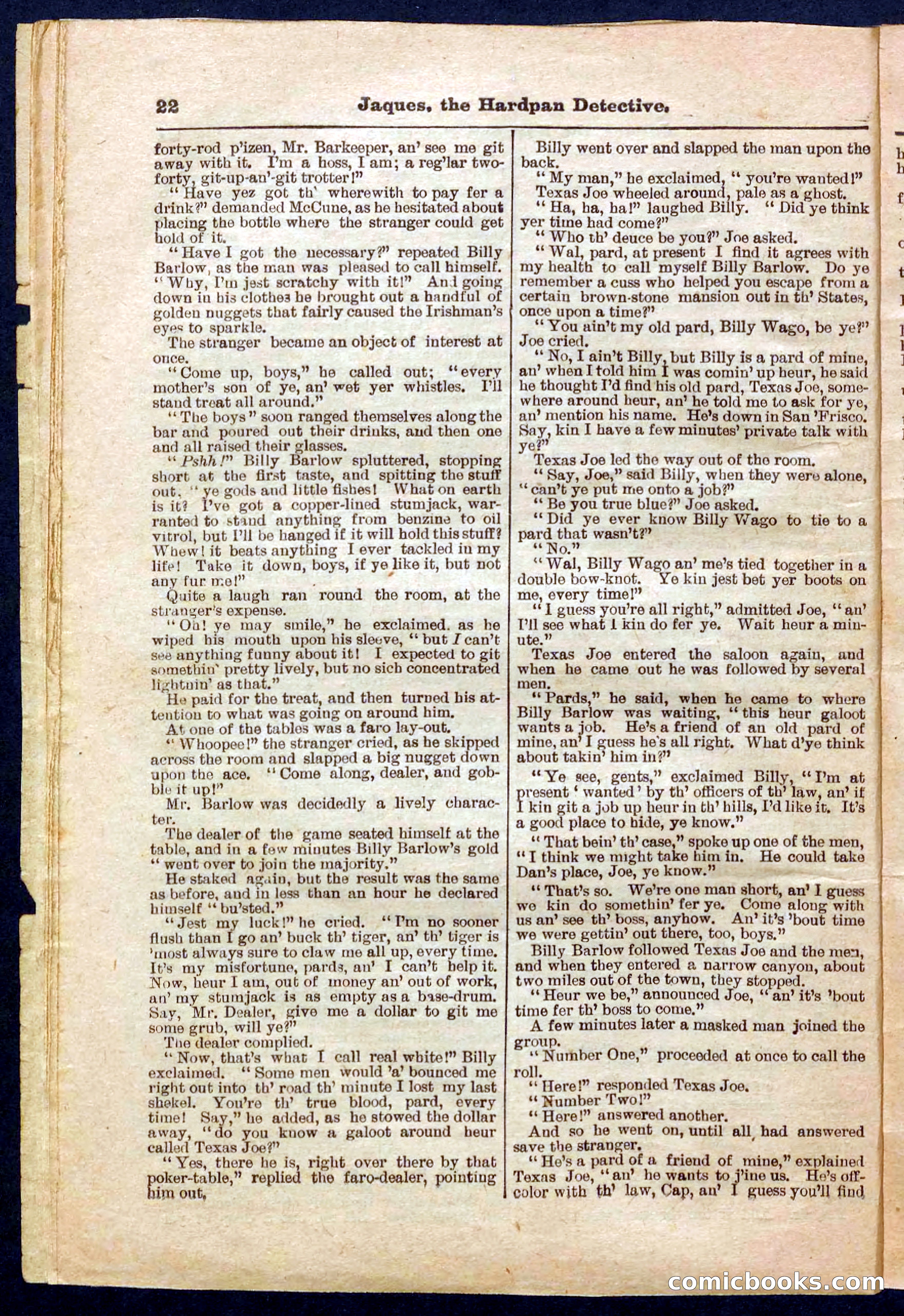 Beadle's Pocket Library No. 345 — page 22 of 32