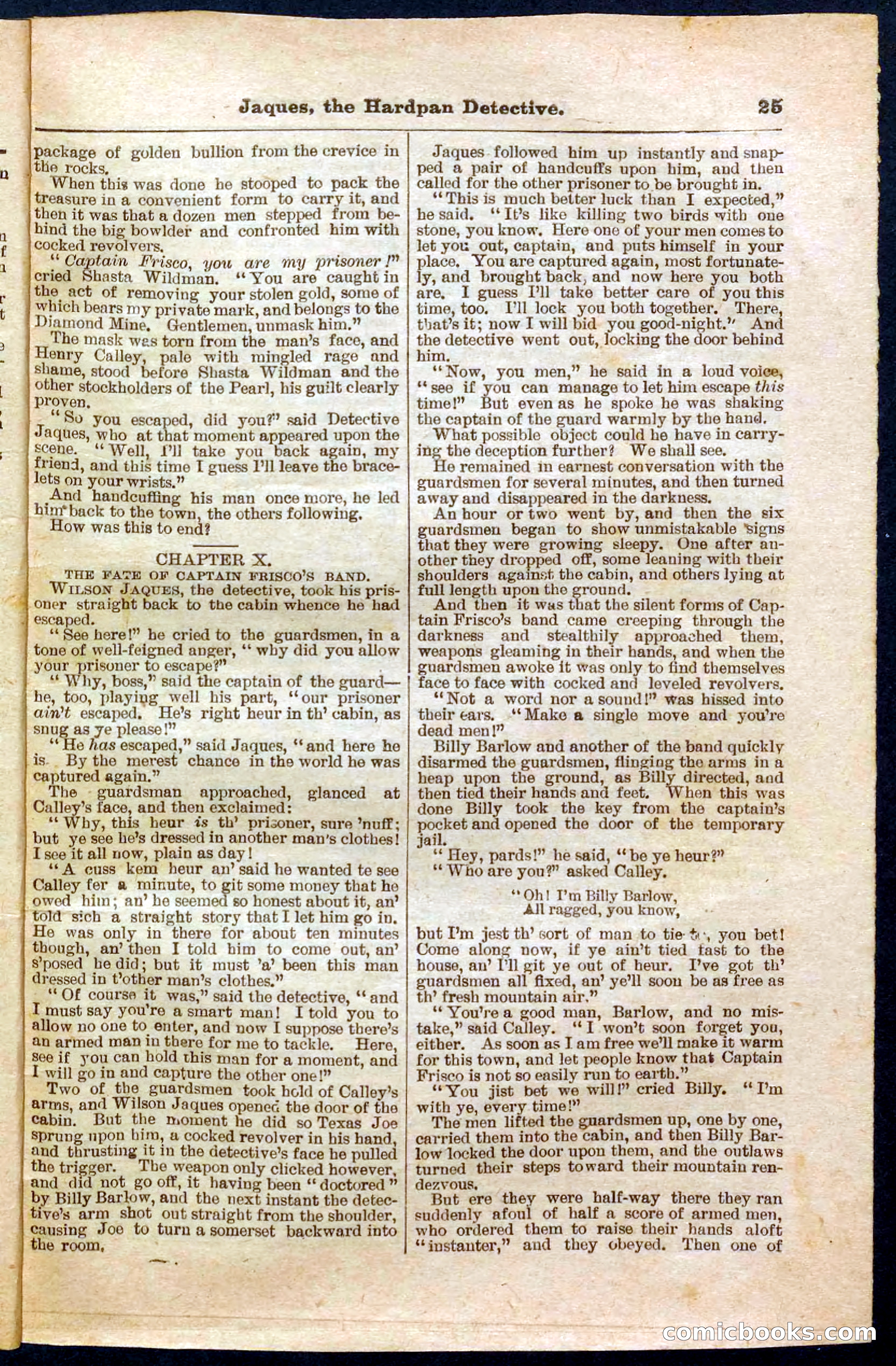 Beadle's Pocket Library No. 345 — page 25 of 32