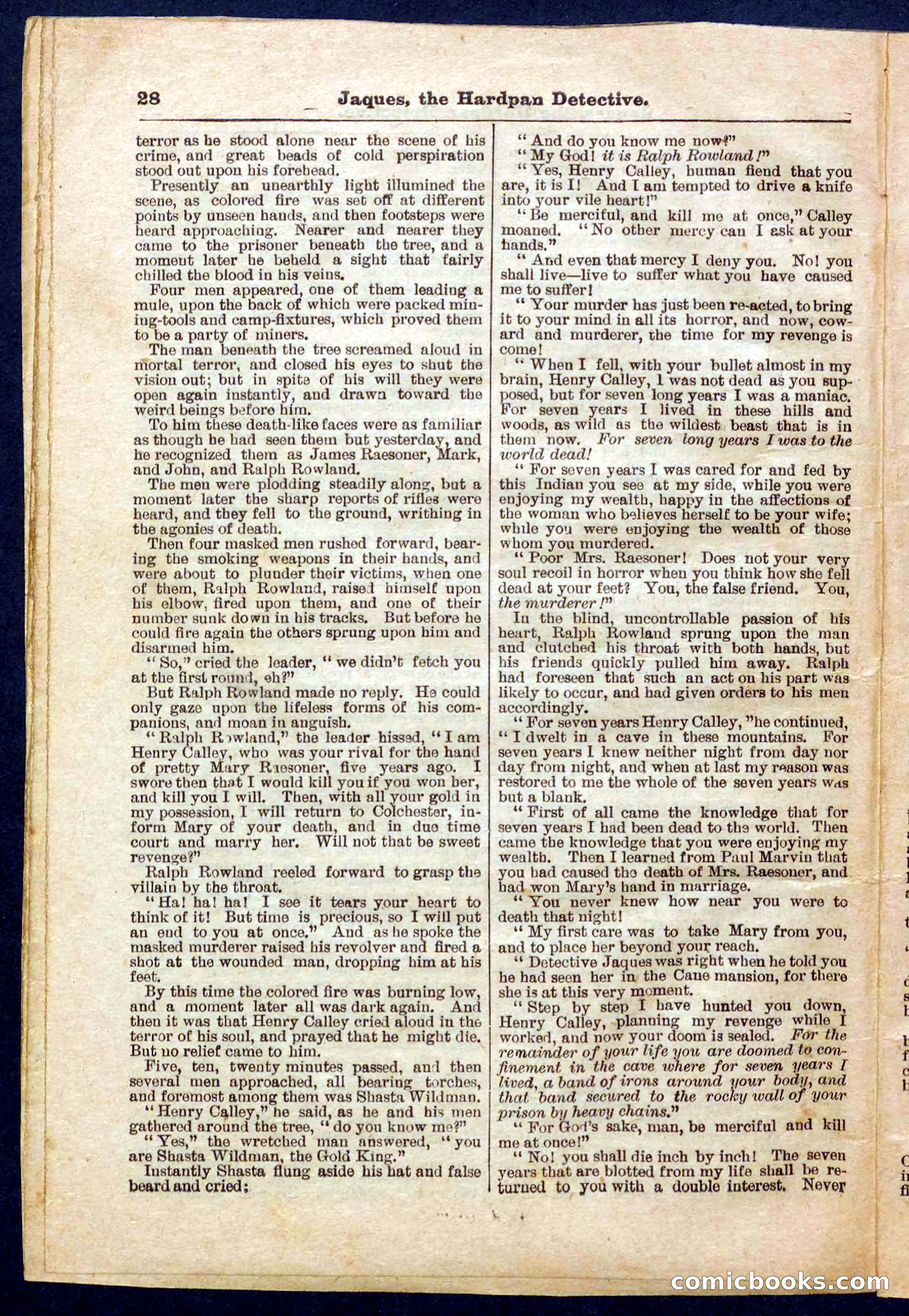 Beadle's Pocket Library No. 345 — page 28 of 32
