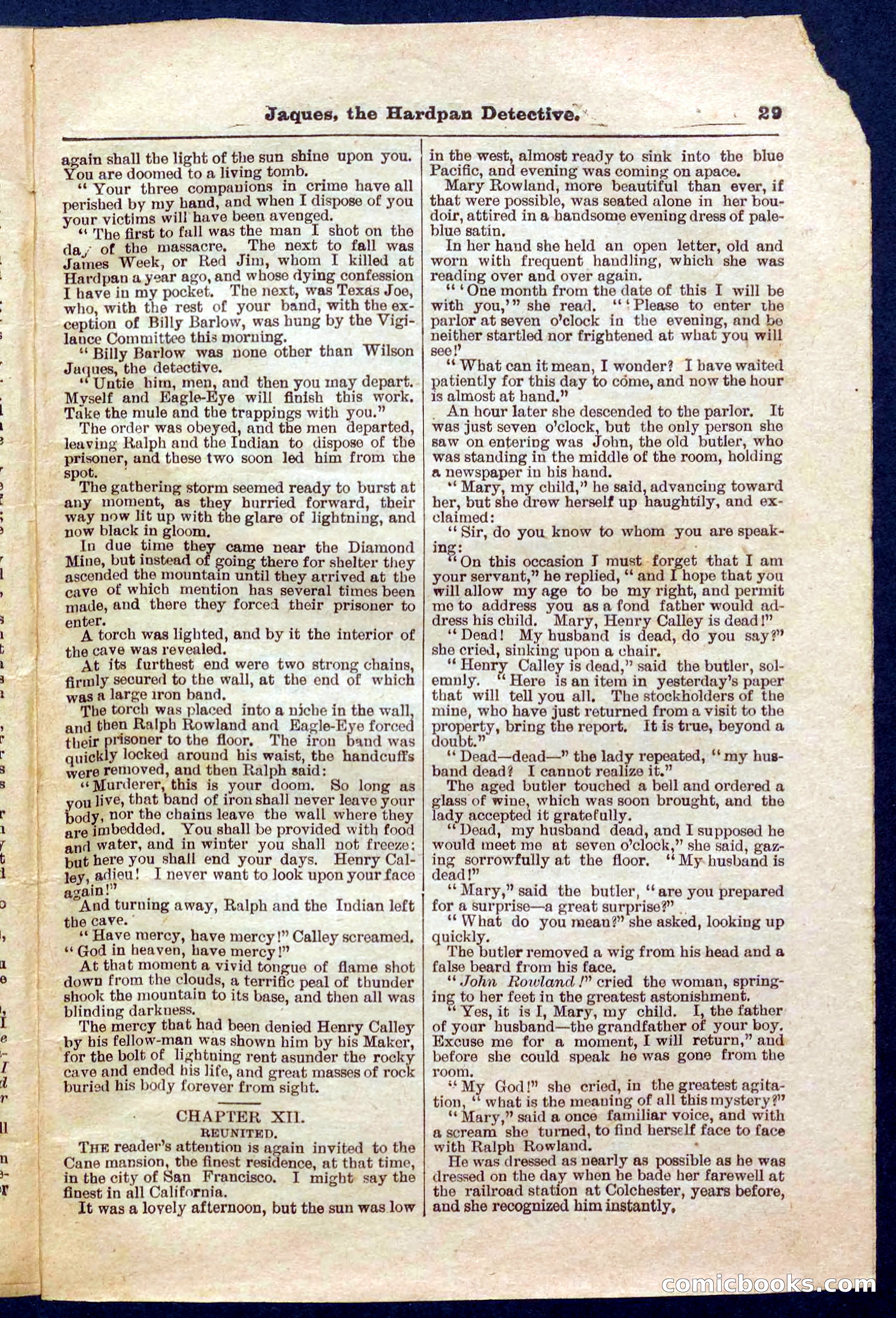 Beadle's Pocket Library No. 345 — page 29 of 32