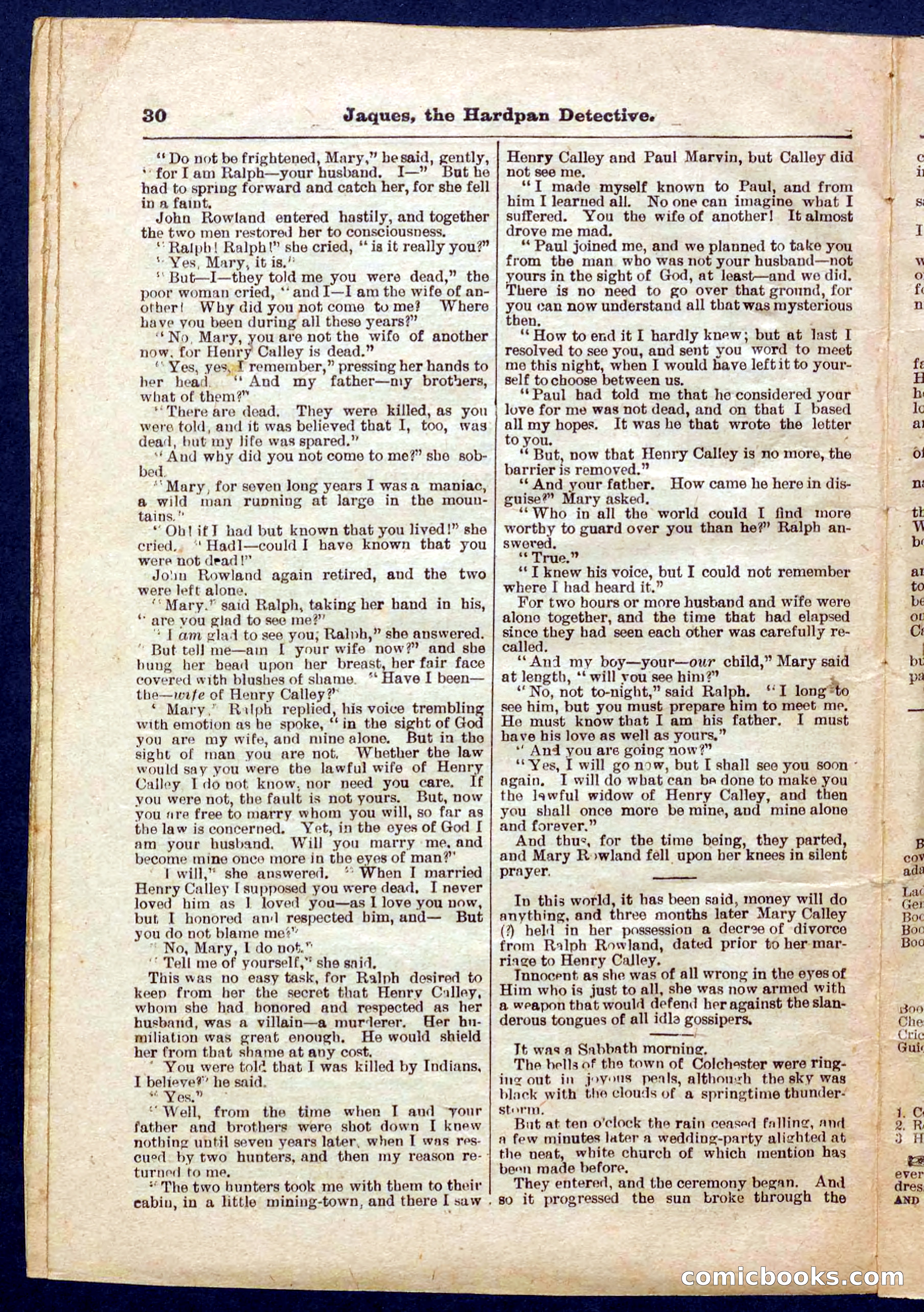 Beadle's Pocket Library No. 345 — page 30 of 32