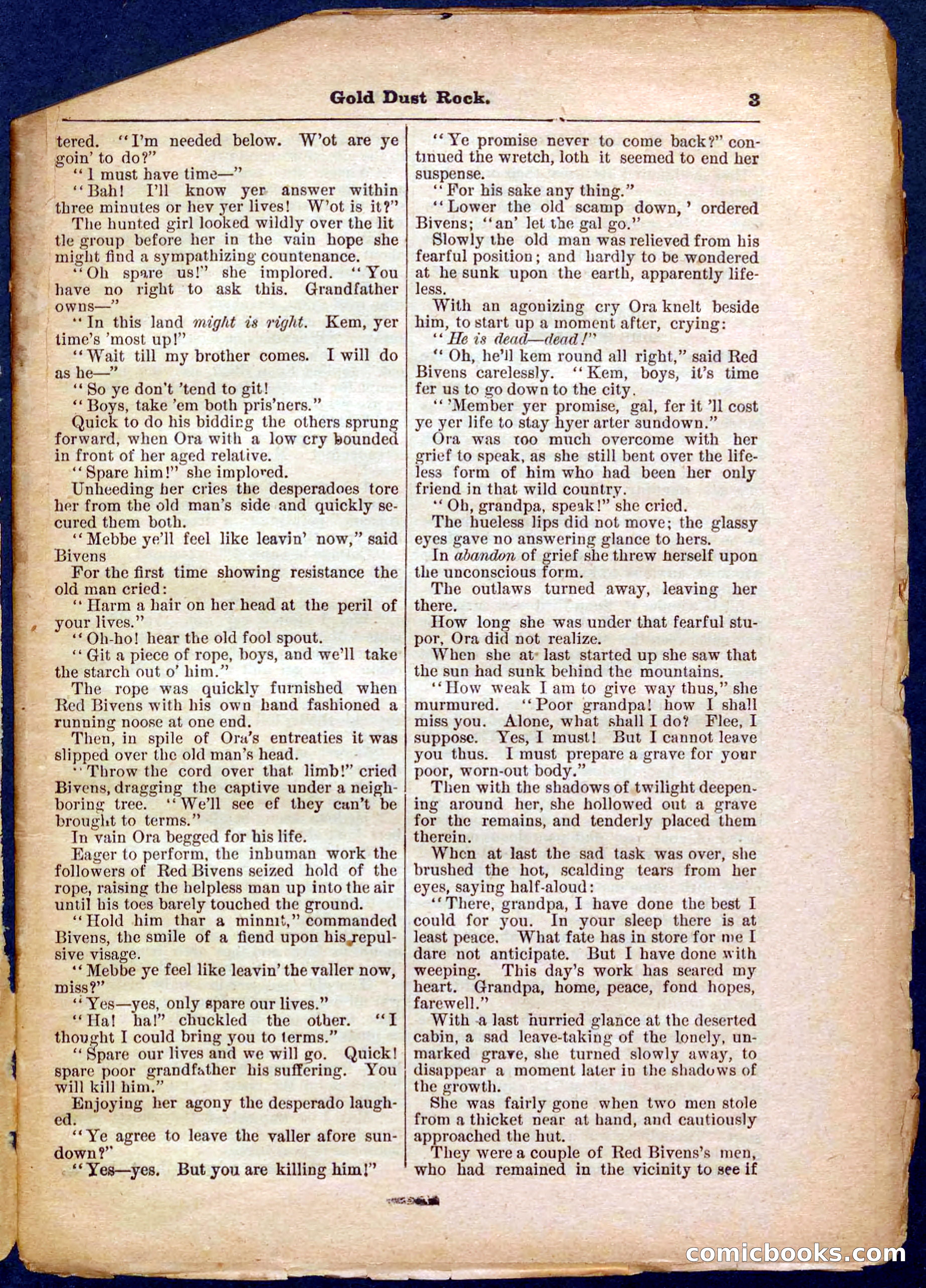 Beadle's Pocket Library No. 366 — page 3 of 32