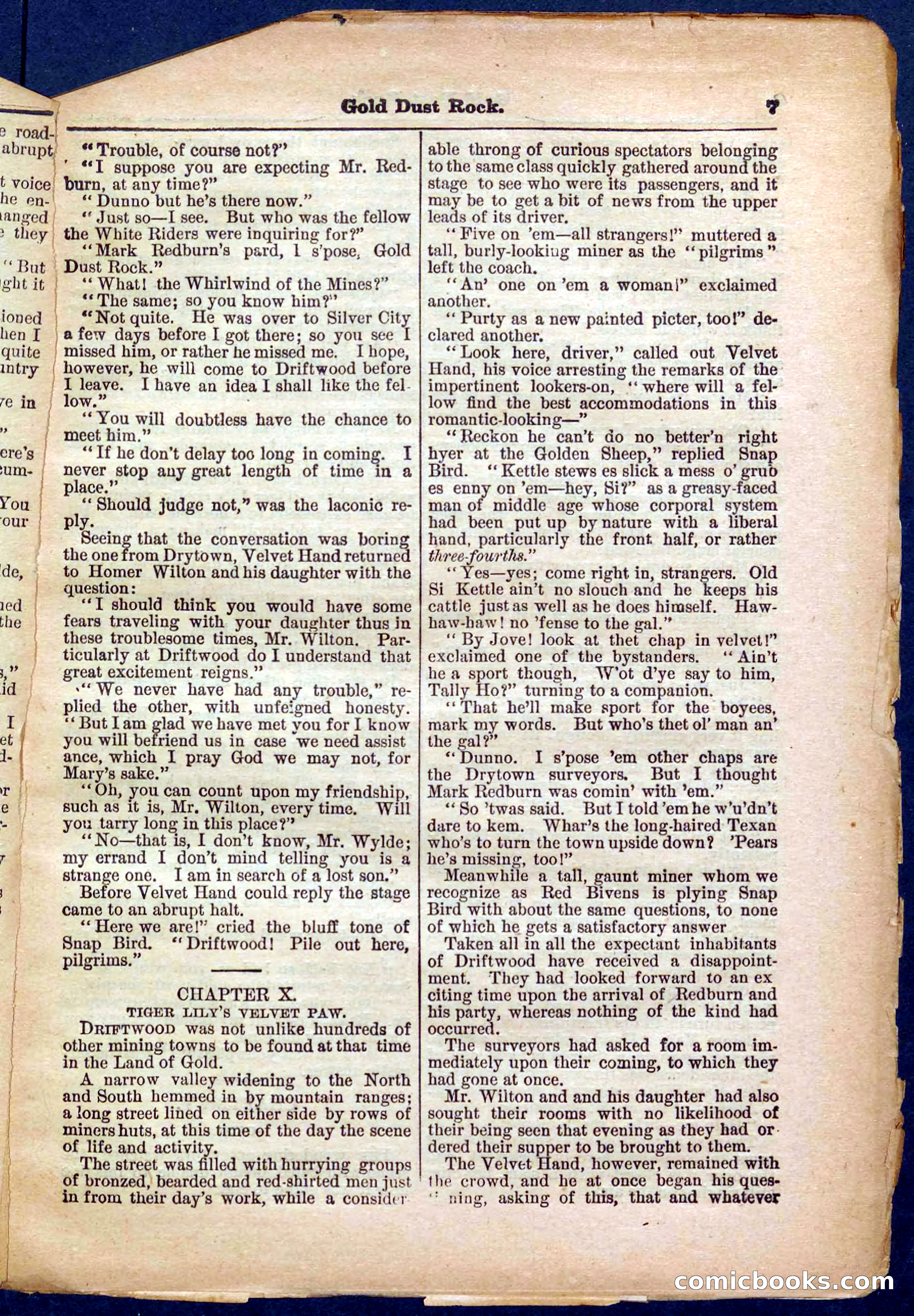 Beadle's Pocket Library No. 366 — page 7 of 32
