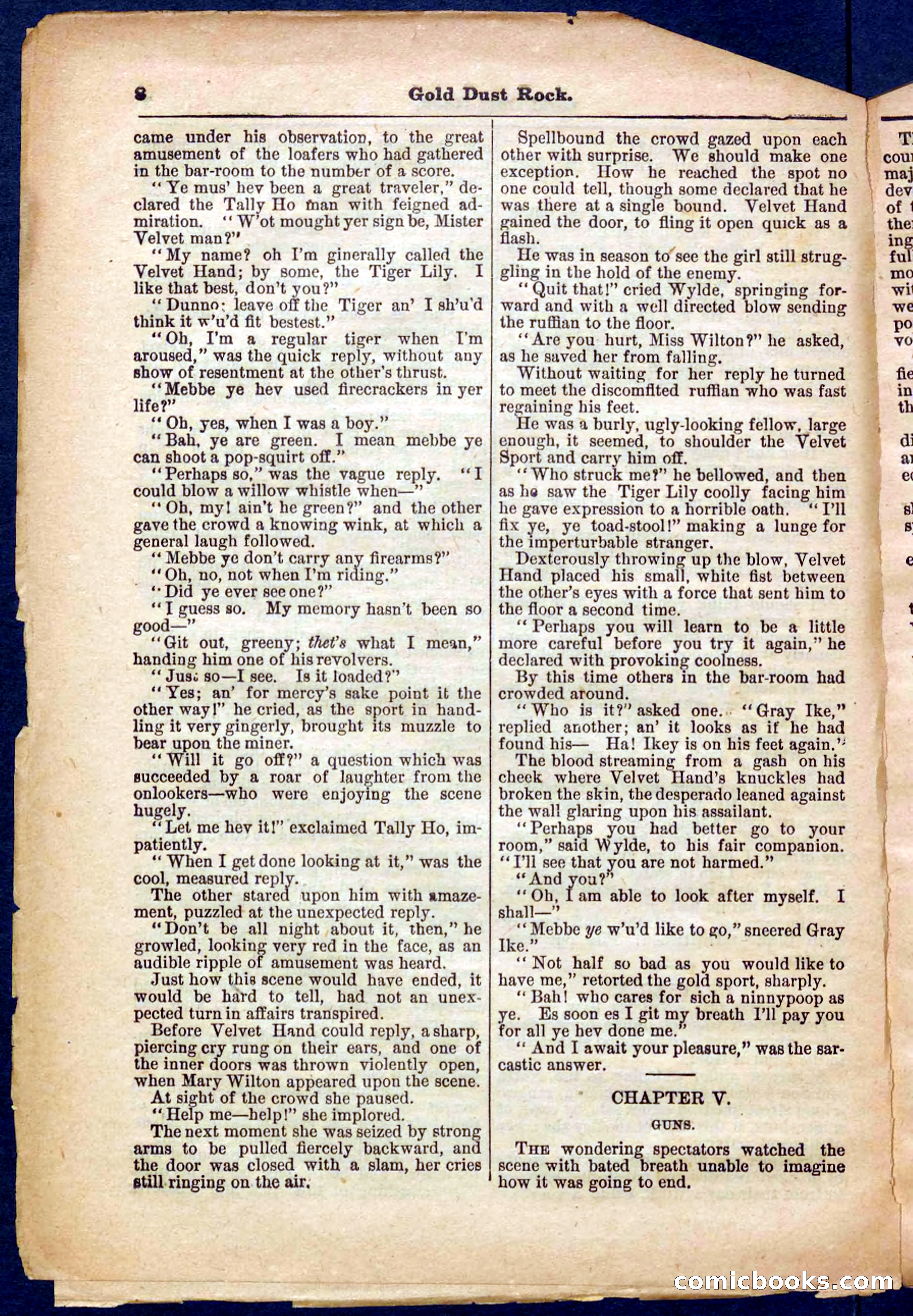 Beadle's Pocket Library No. 366 — page 8 of 32