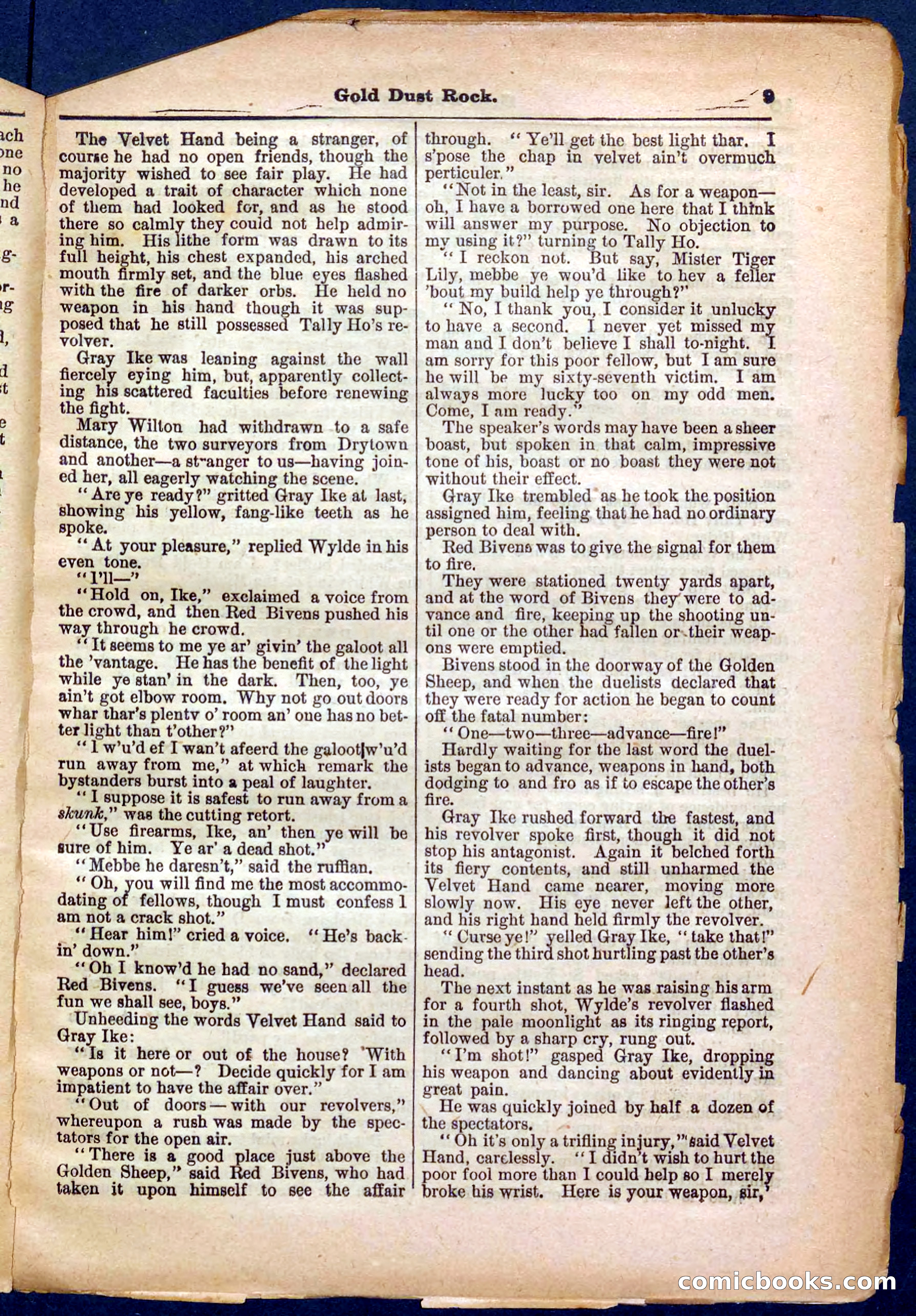 Beadle's Pocket Library No. 366 — page 9 of 32
