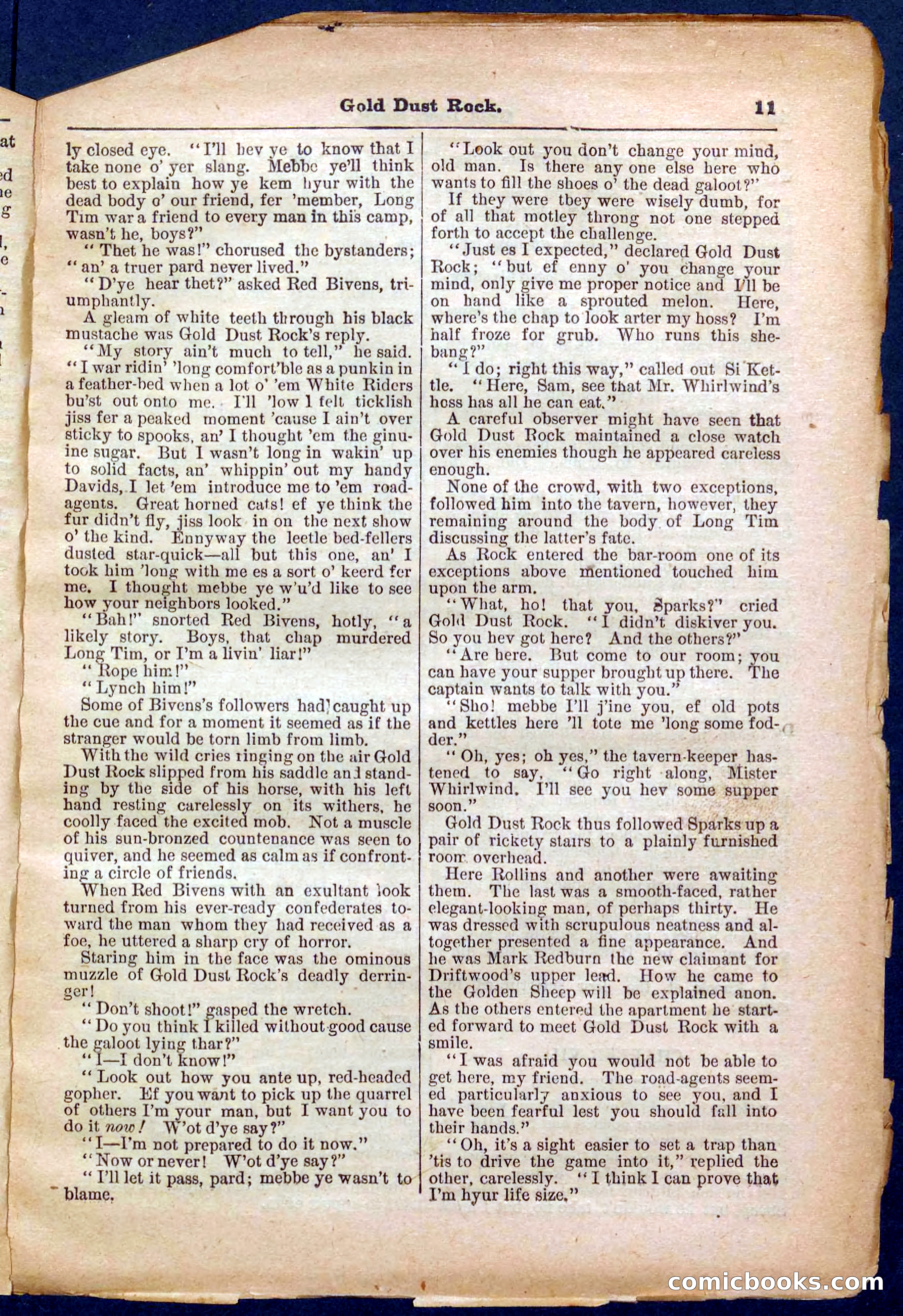 Beadle's Pocket Library No. 366 — page 11 of 32
