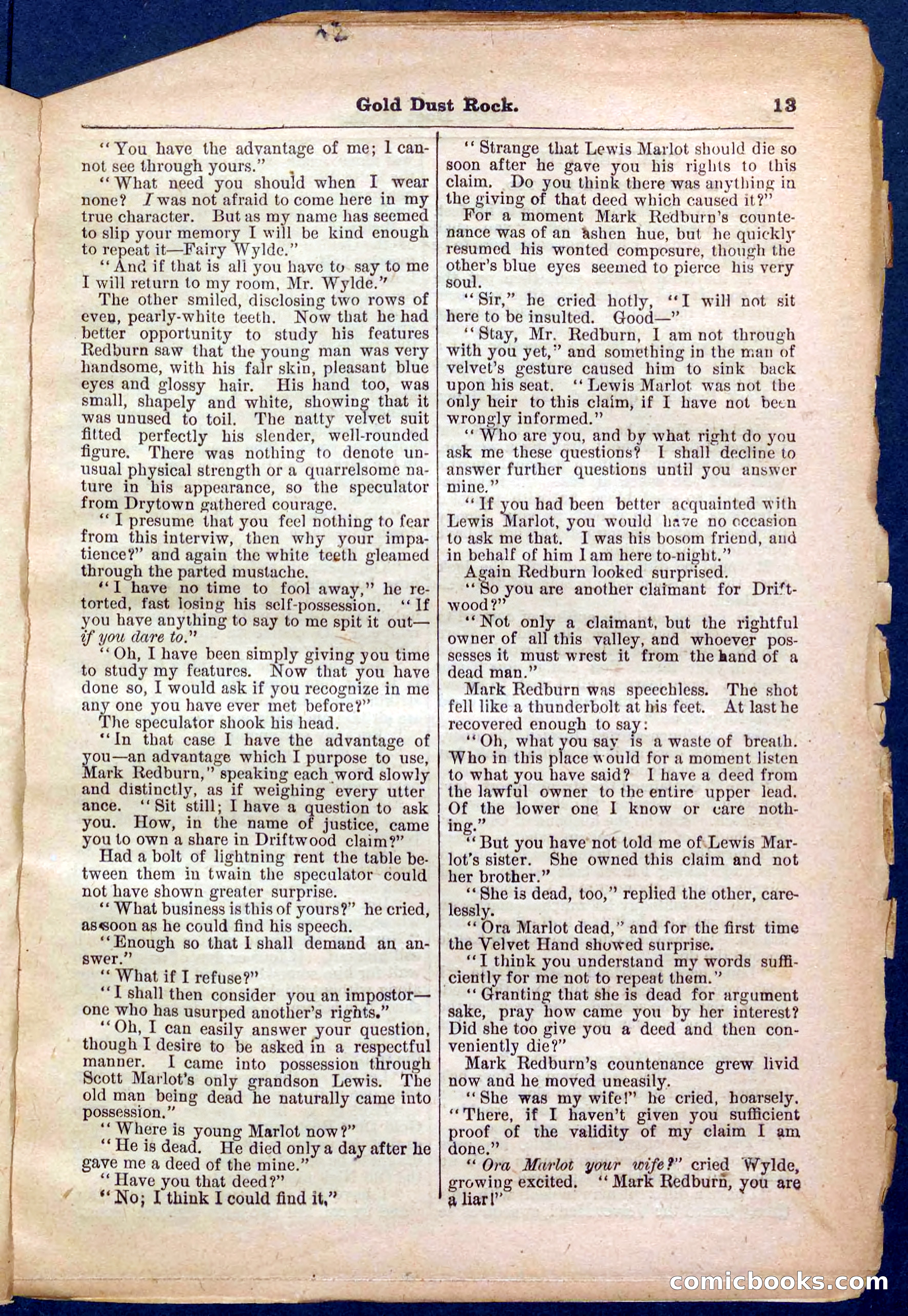 Beadle's Pocket Library No. 366 — page 13 of 32