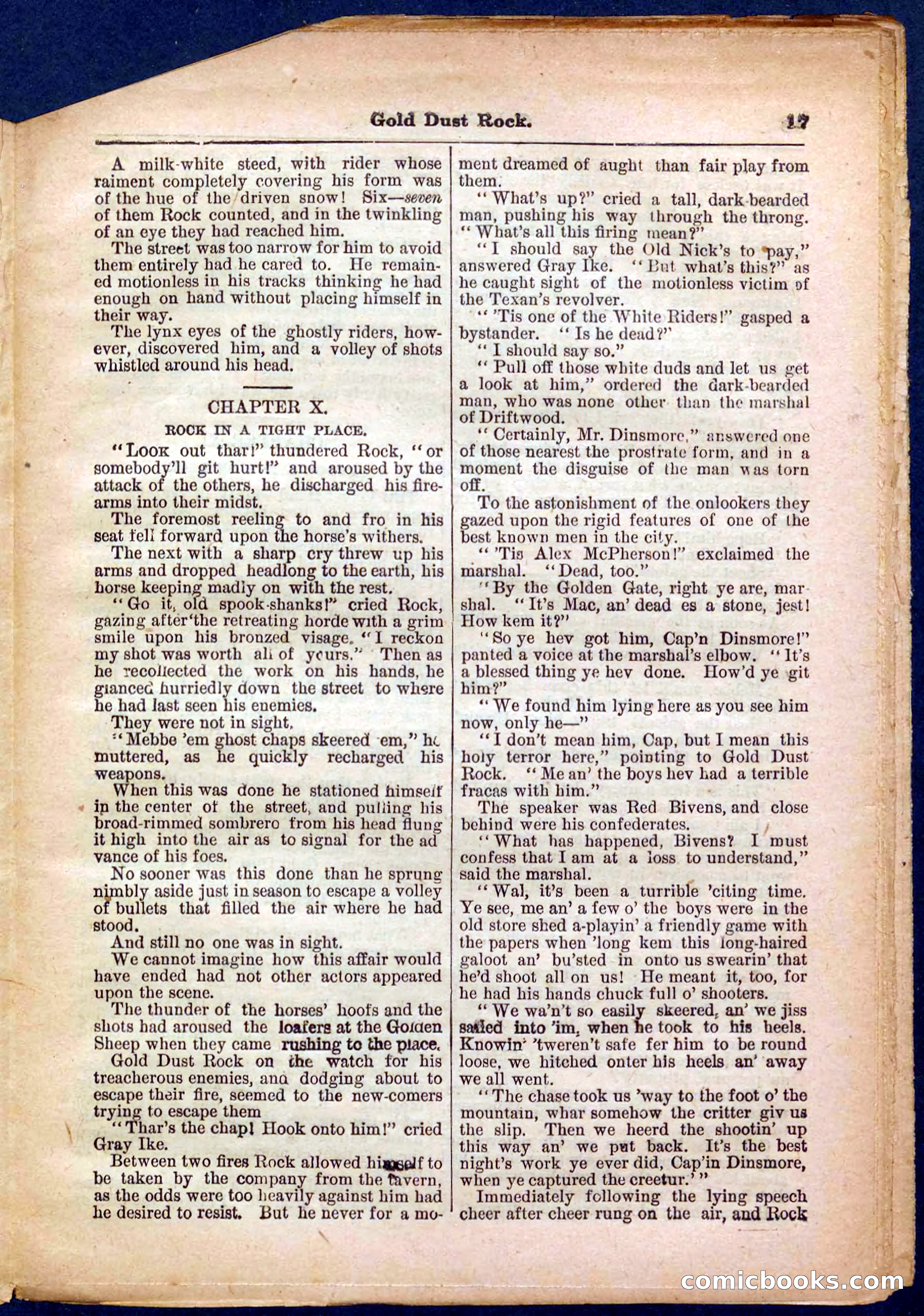 Beadle's Pocket Library No. 366 — page 17 of 32