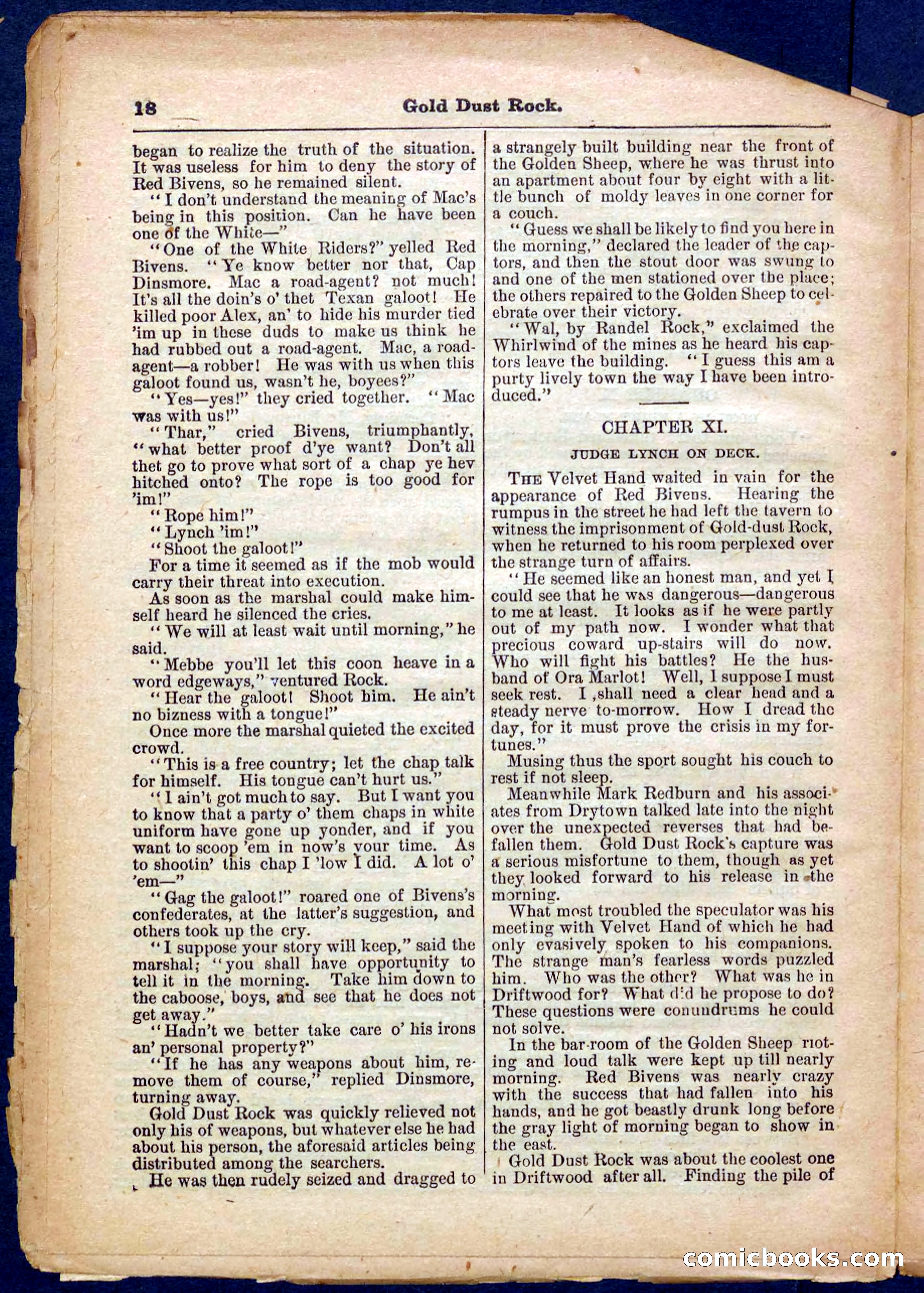 Beadle's Pocket Library No. 366 — page 18 of 32
