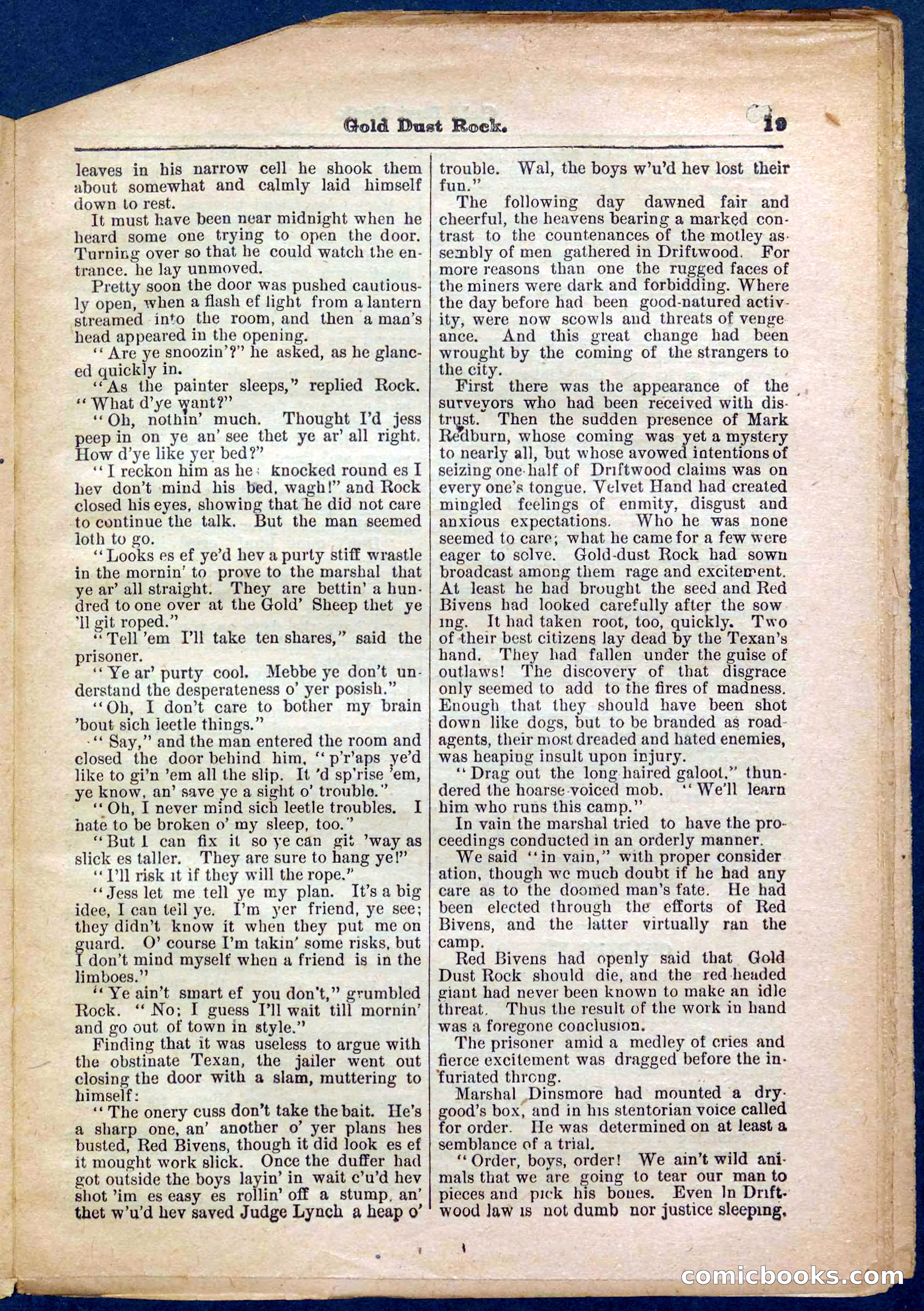 Beadle's Pocket Library No. 366 — page 19 of 32