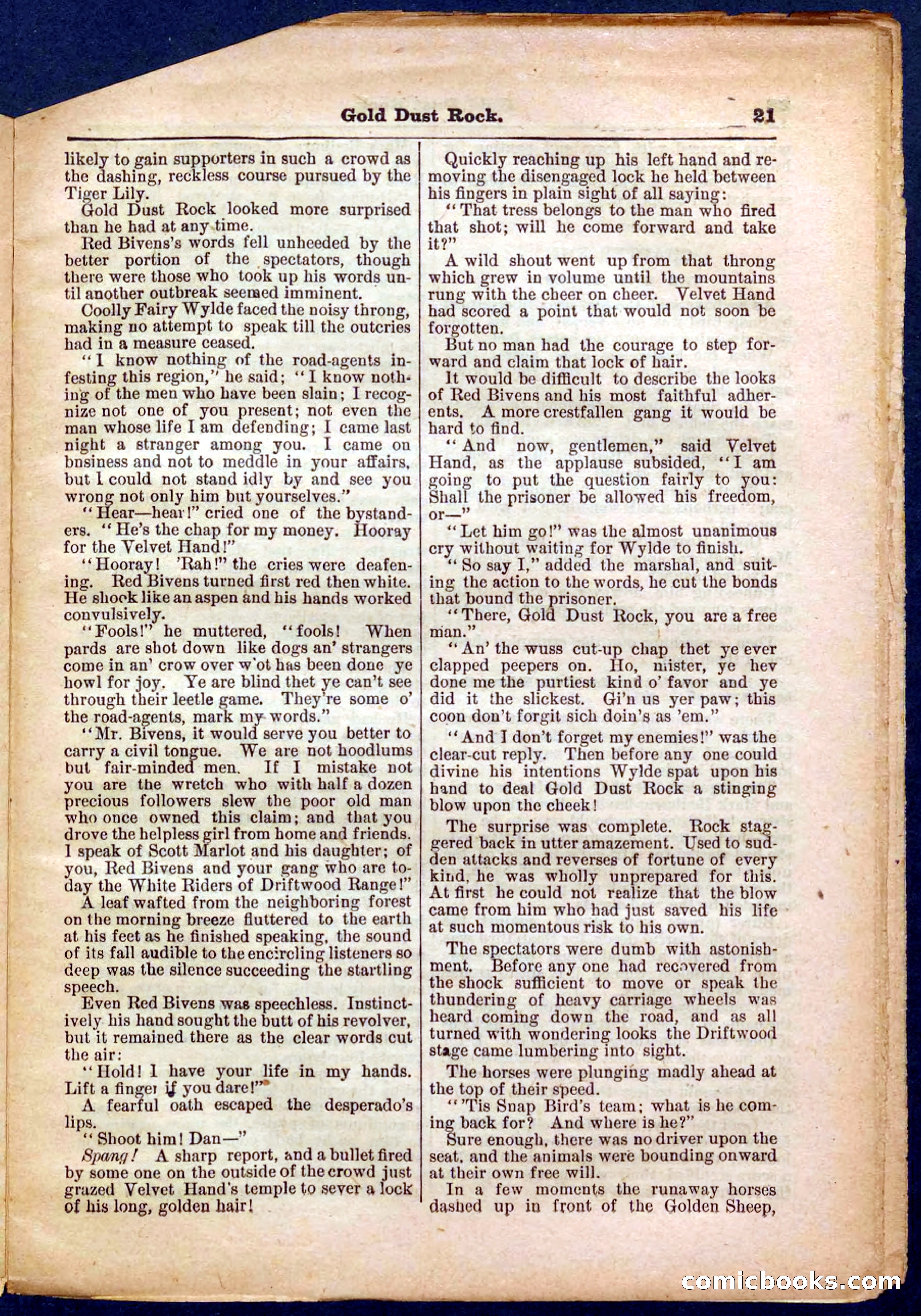 Beadle's Pocket Library No. 366 — page 21 of 32