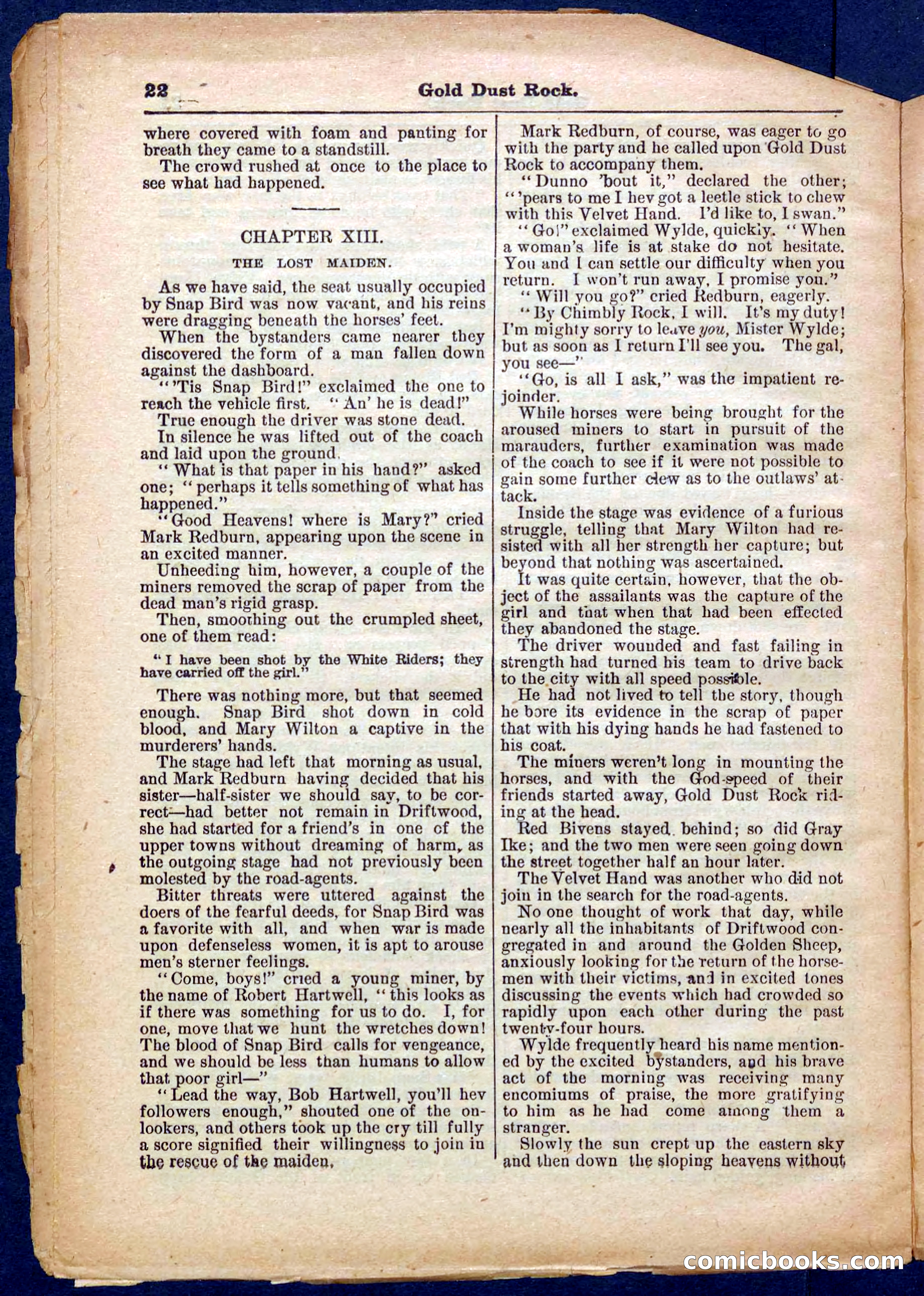 Beadle's Pocket Library No. 366 — page 22 of 32