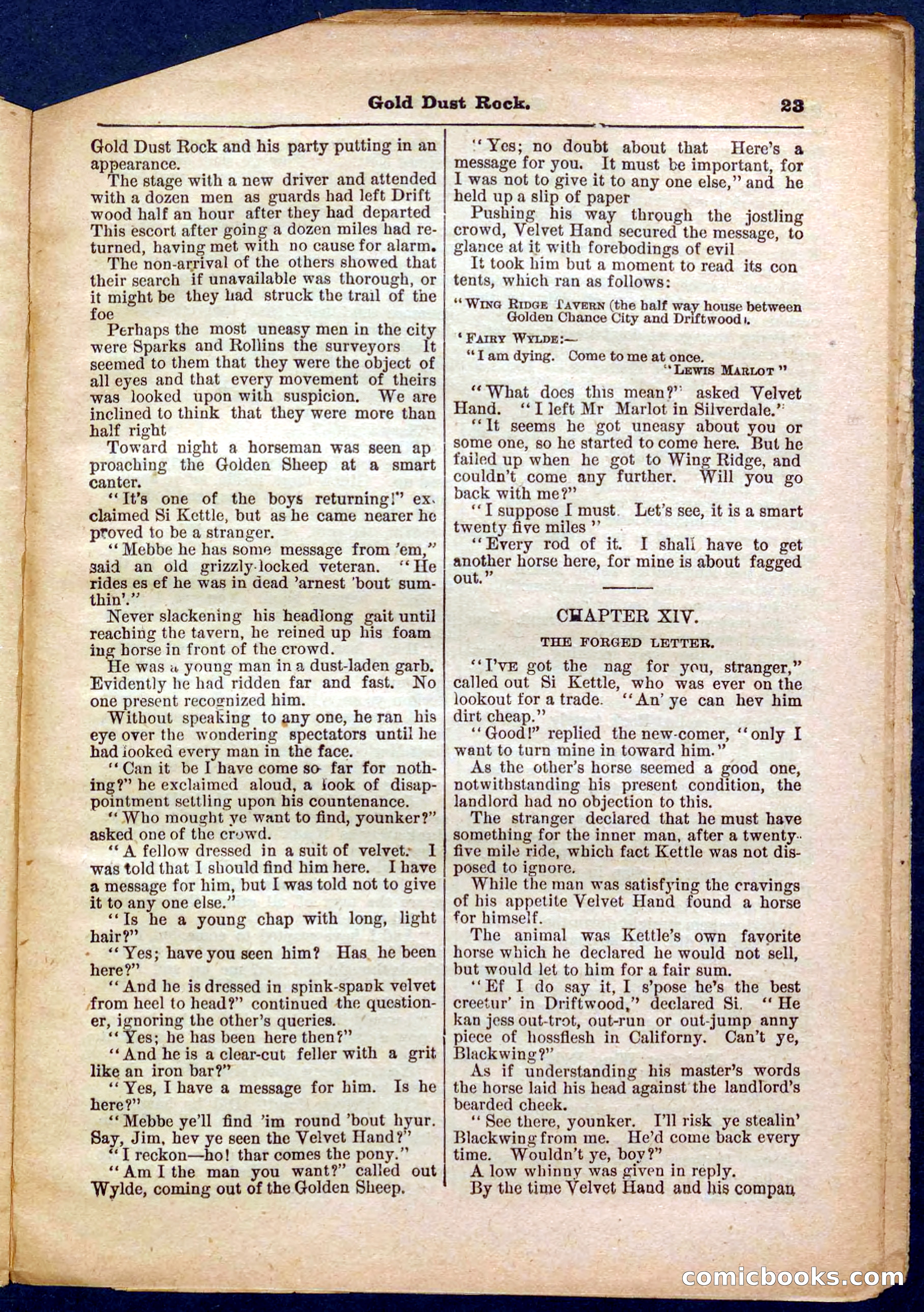 Beadle's Pocket Library No. 366 — page 23 of 32
