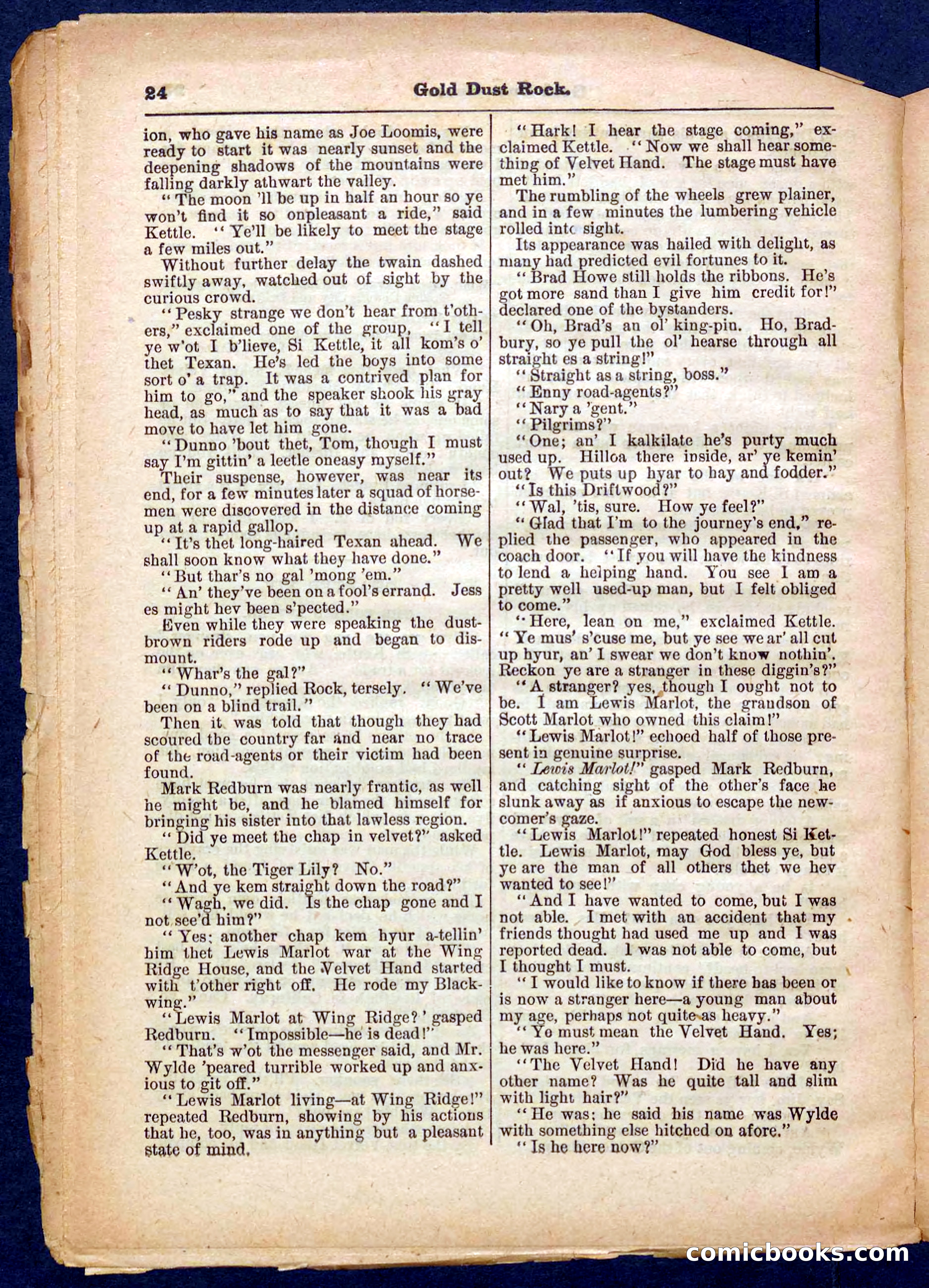 Beadle's Pocket Library No. 366 — page 24 of 32