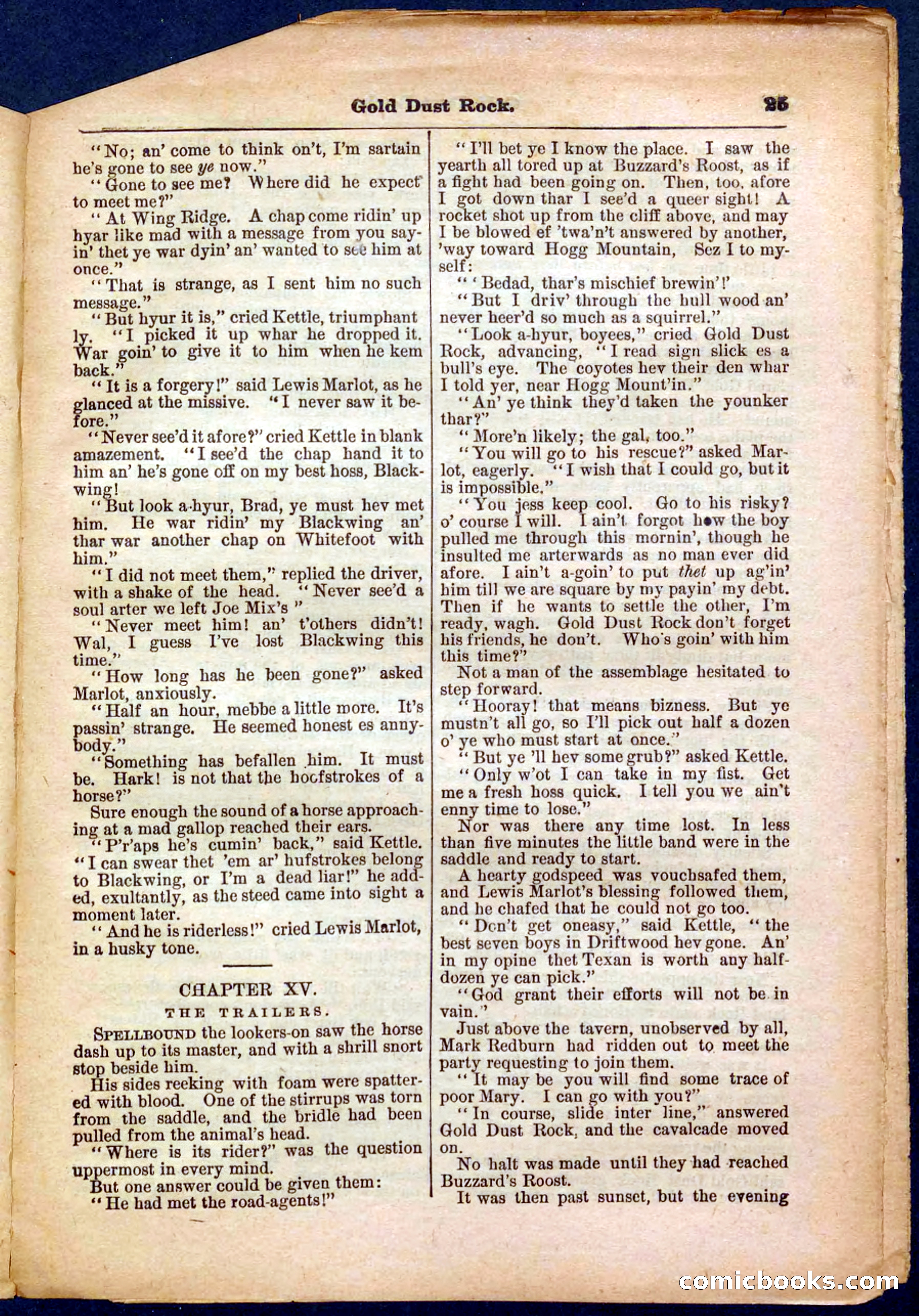 Beadle's Pocket Library No. 366 — page 25 of 32