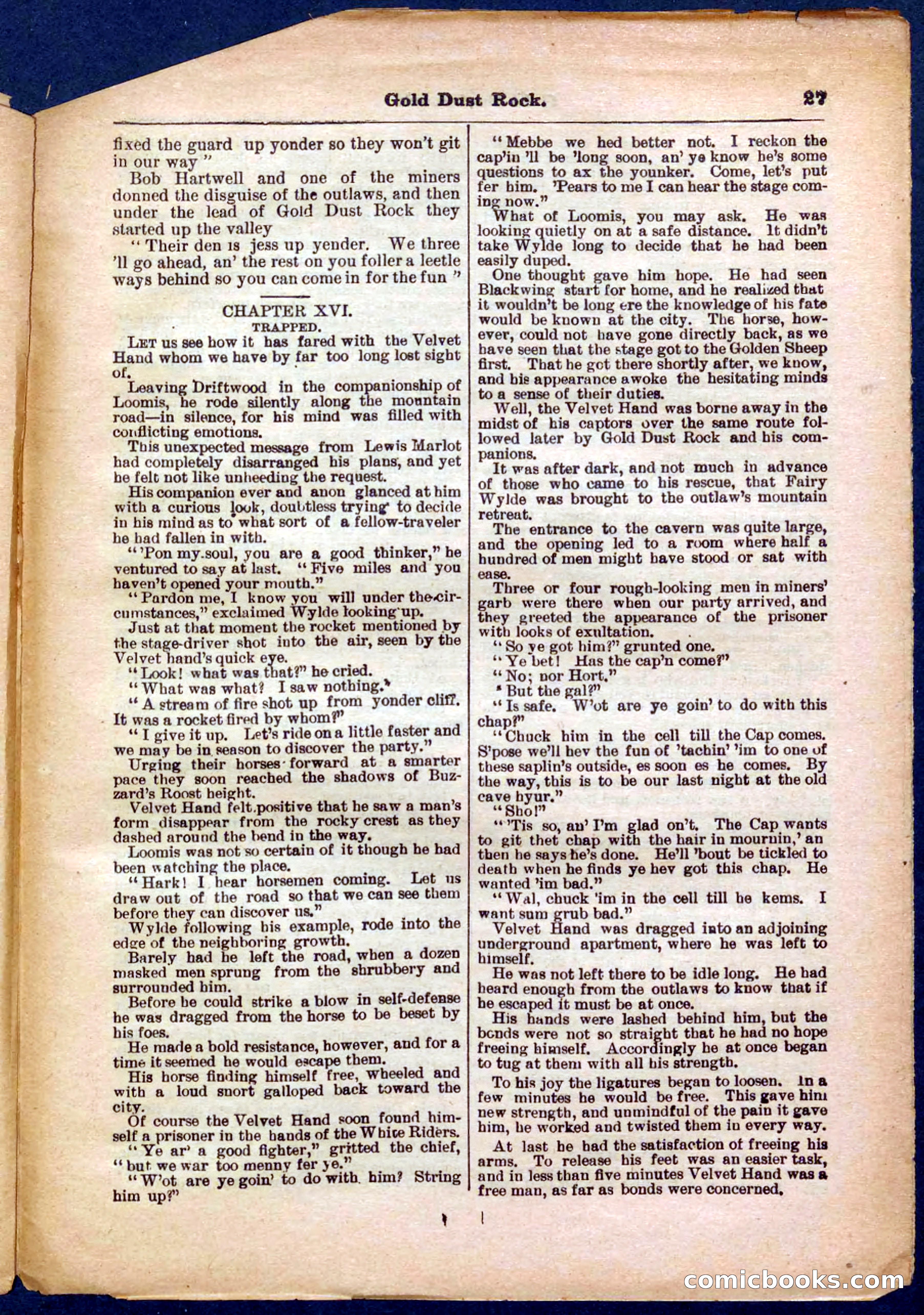 Beadle's Pocket Library No. 366 — page 27 of 32