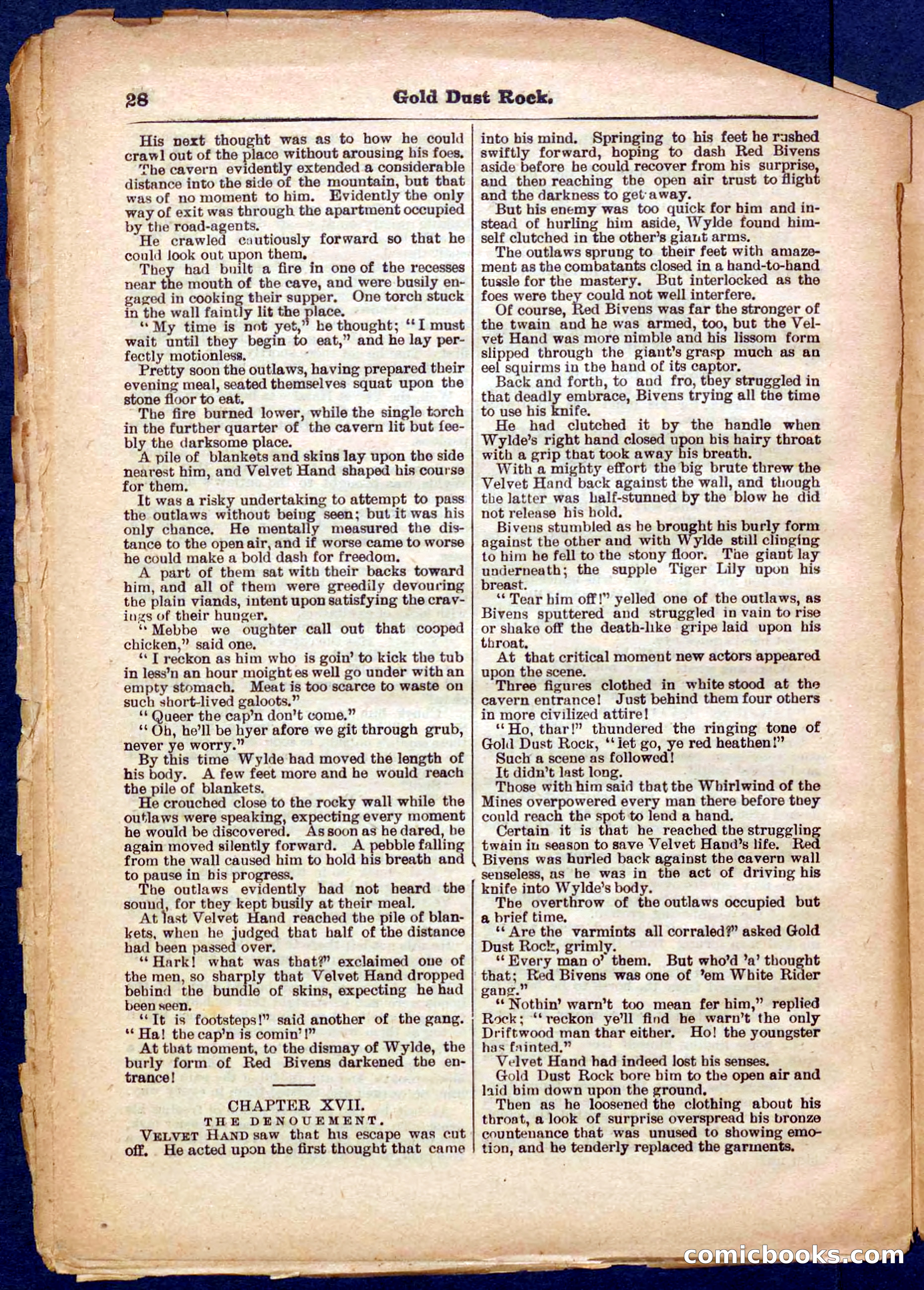 Beadle's Pocket Library No. 366 — page 28 of 32
