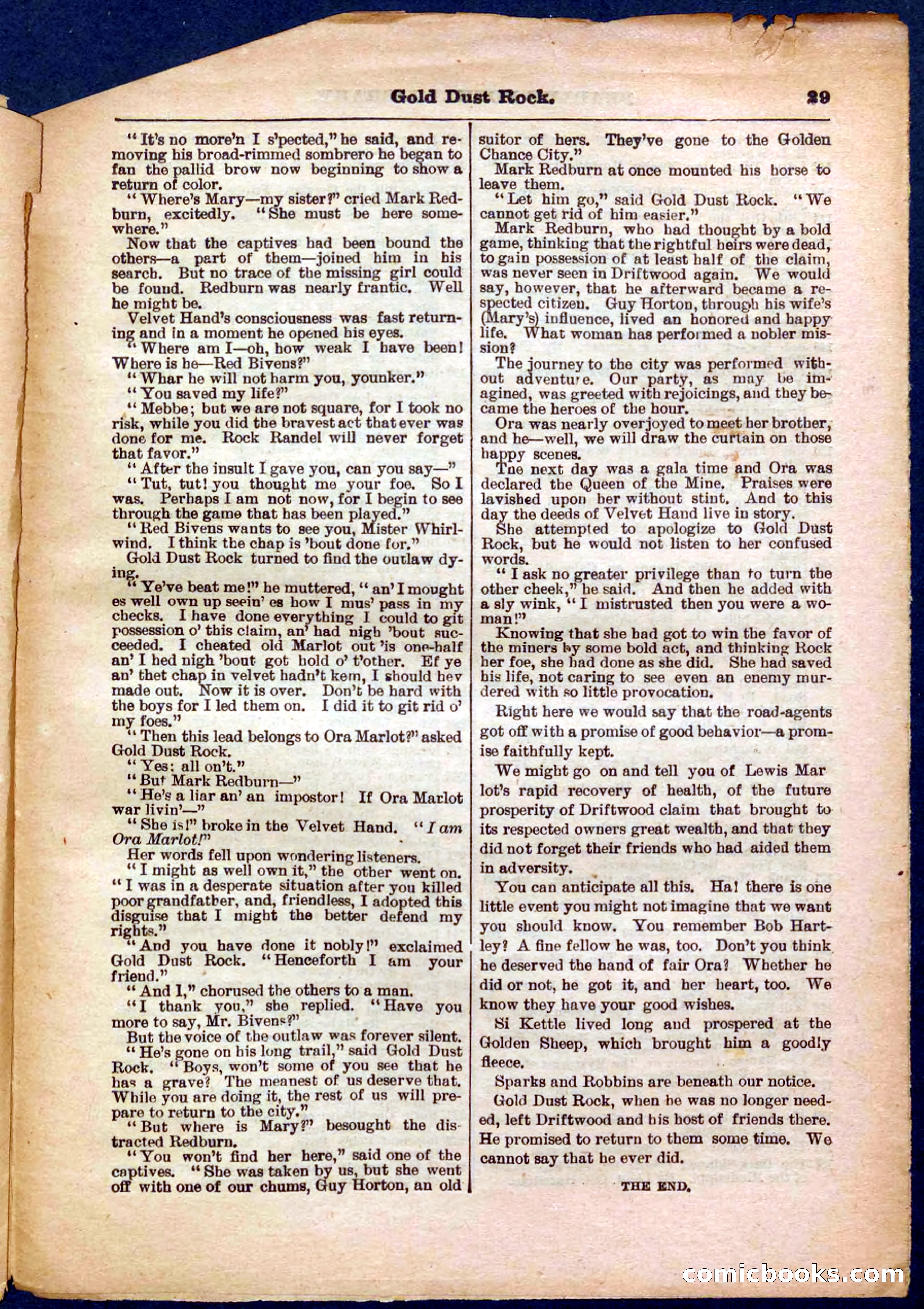 Beadle's Pocket Library No. 366 — page 29 of 32
