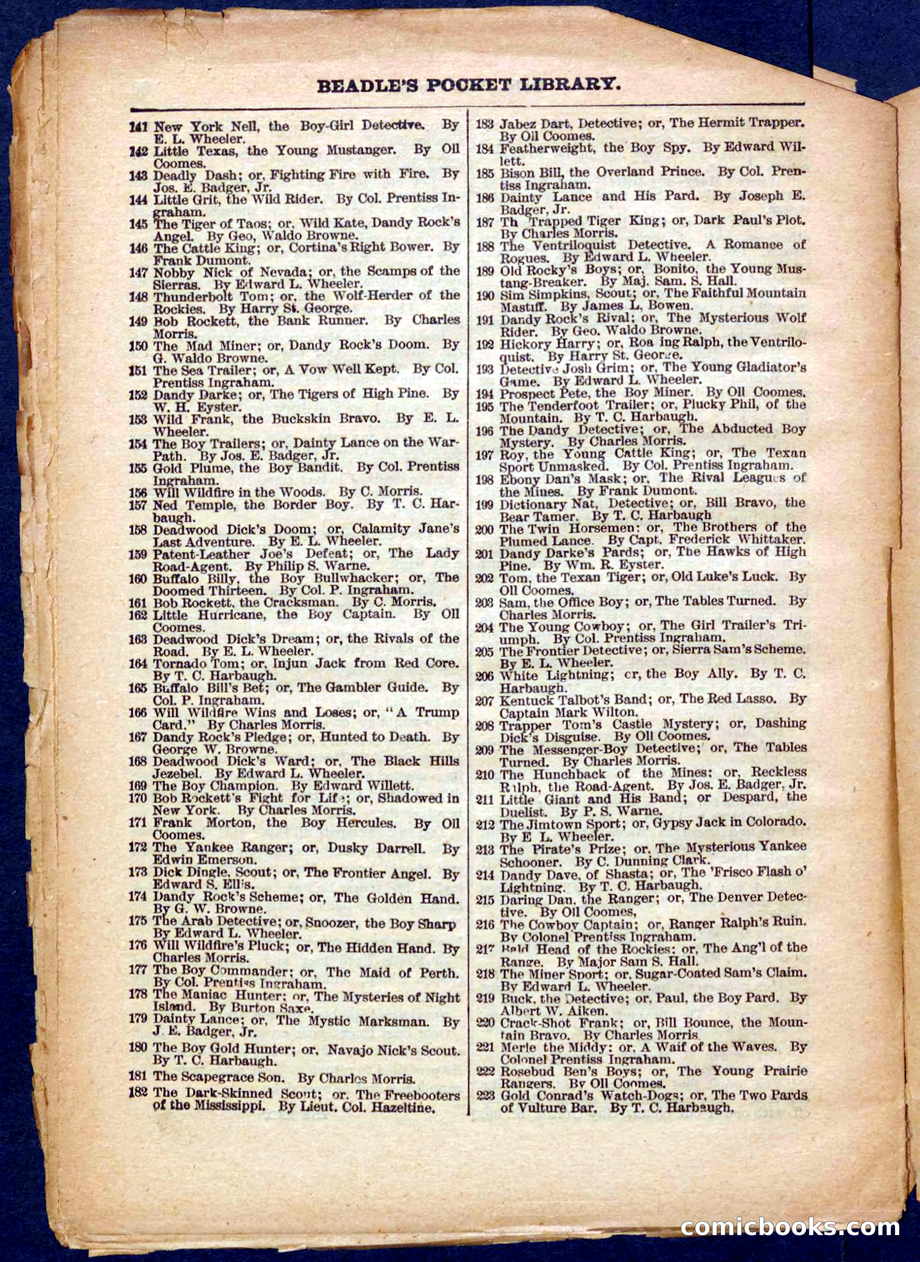 Beadle's Pocket Library No. 366 — page 30 of 32