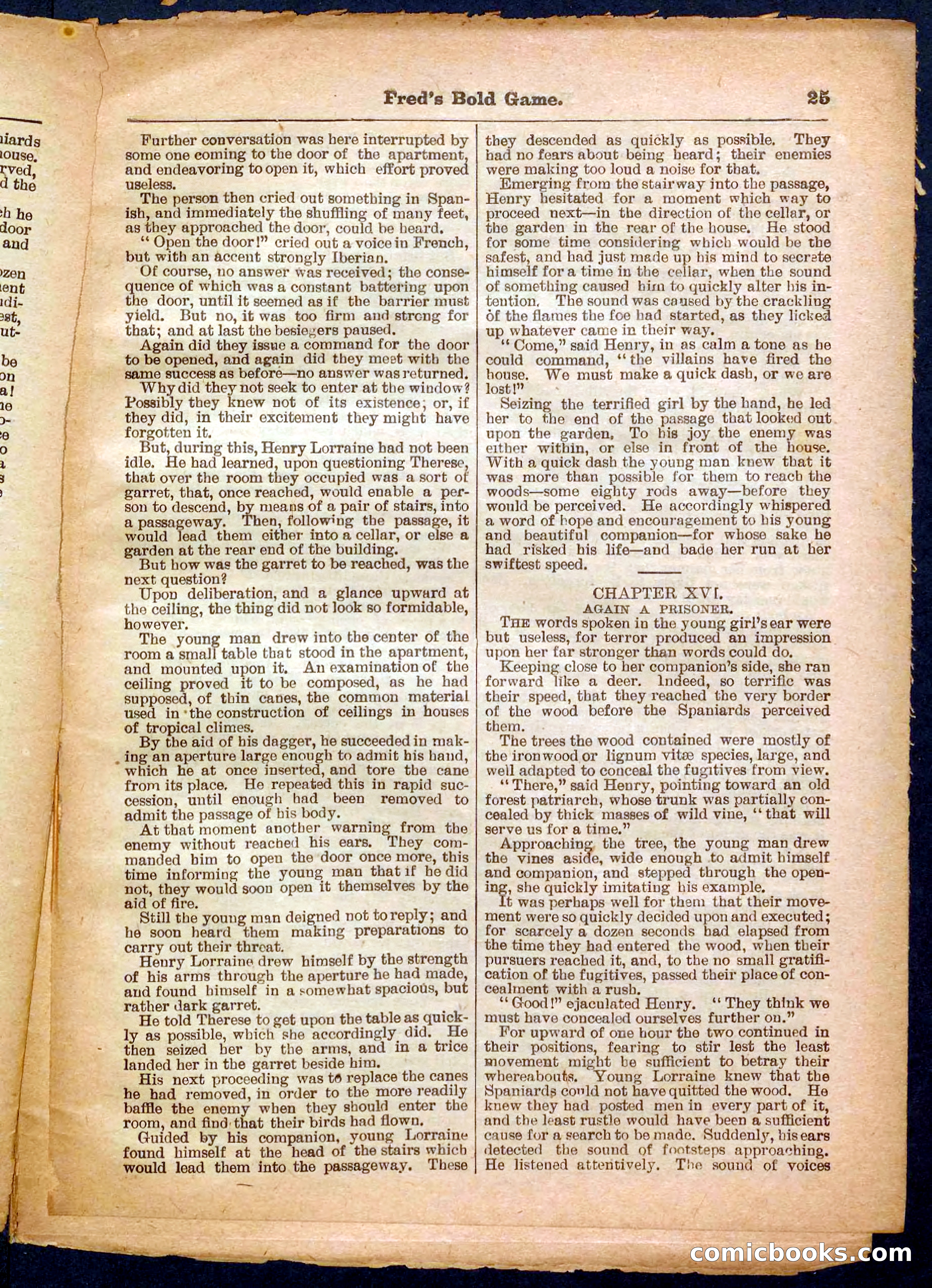 Beadle's Pocket Library, No. 367 — page 25 of 32