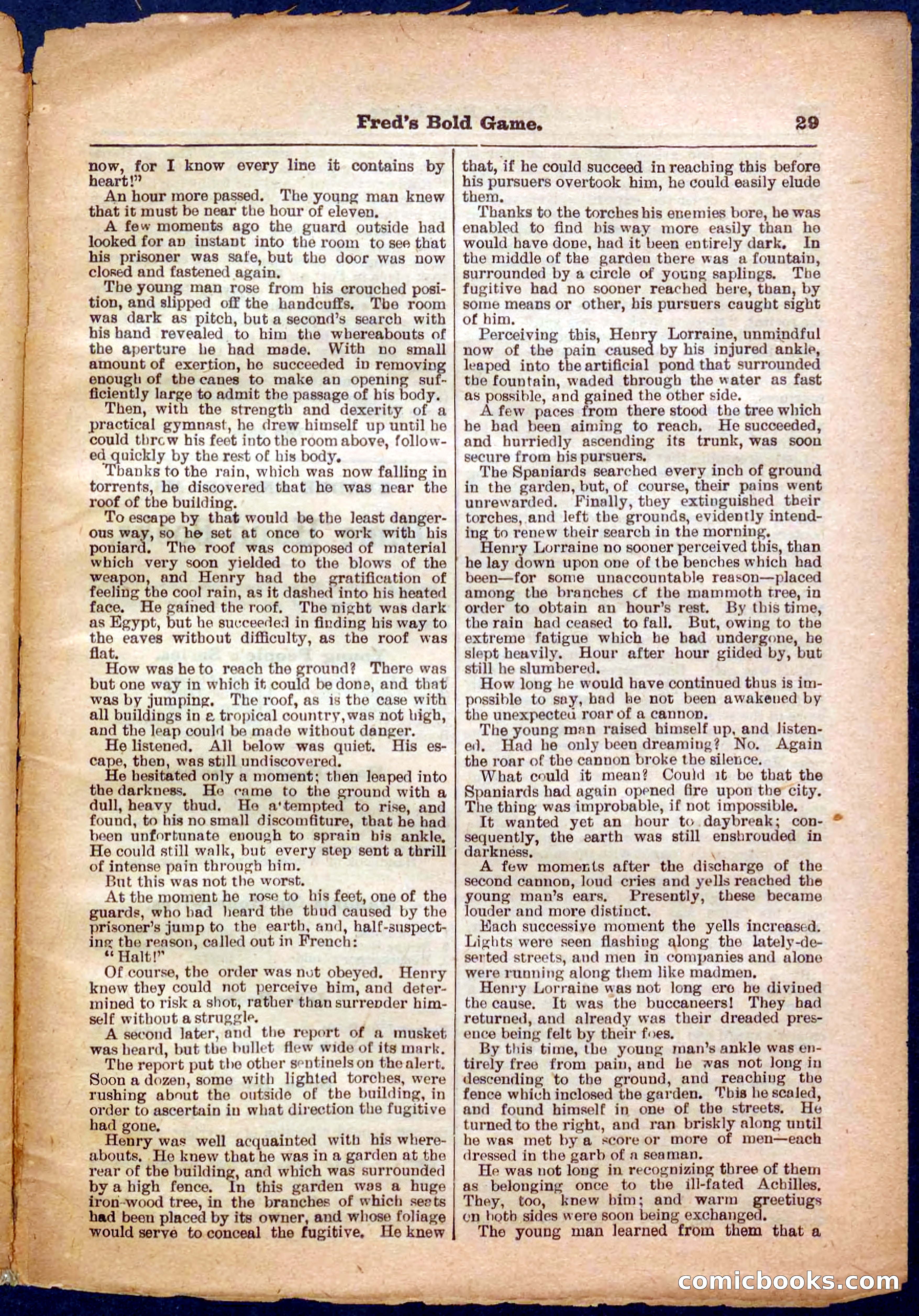 Beadle's Pocket Library, No. 367 — page 29 of 32