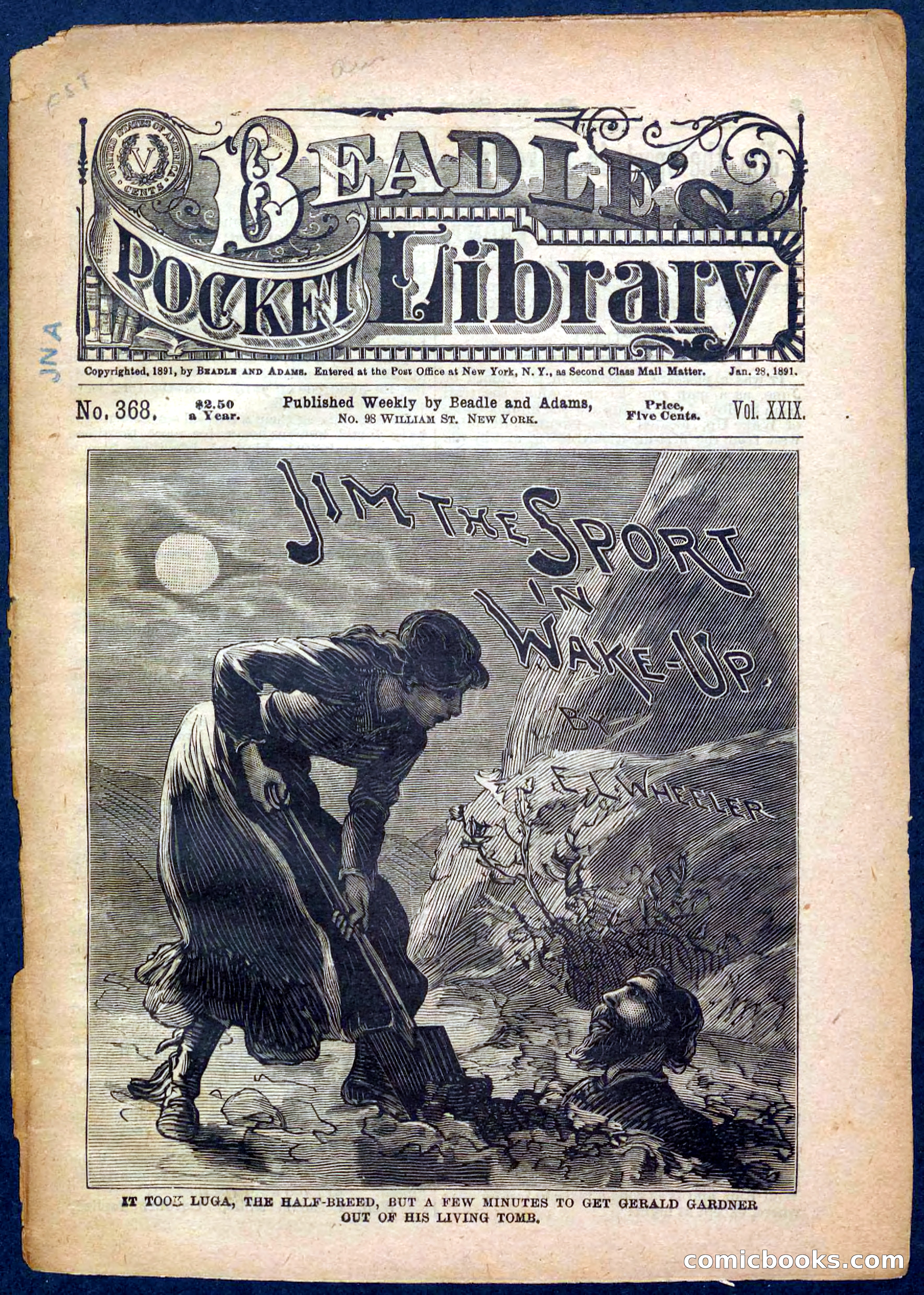 Beadle's Pocket Library No. 368